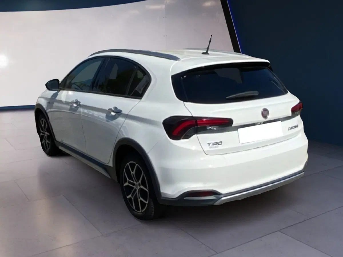 Fiat Tipo usata a Torino (9)