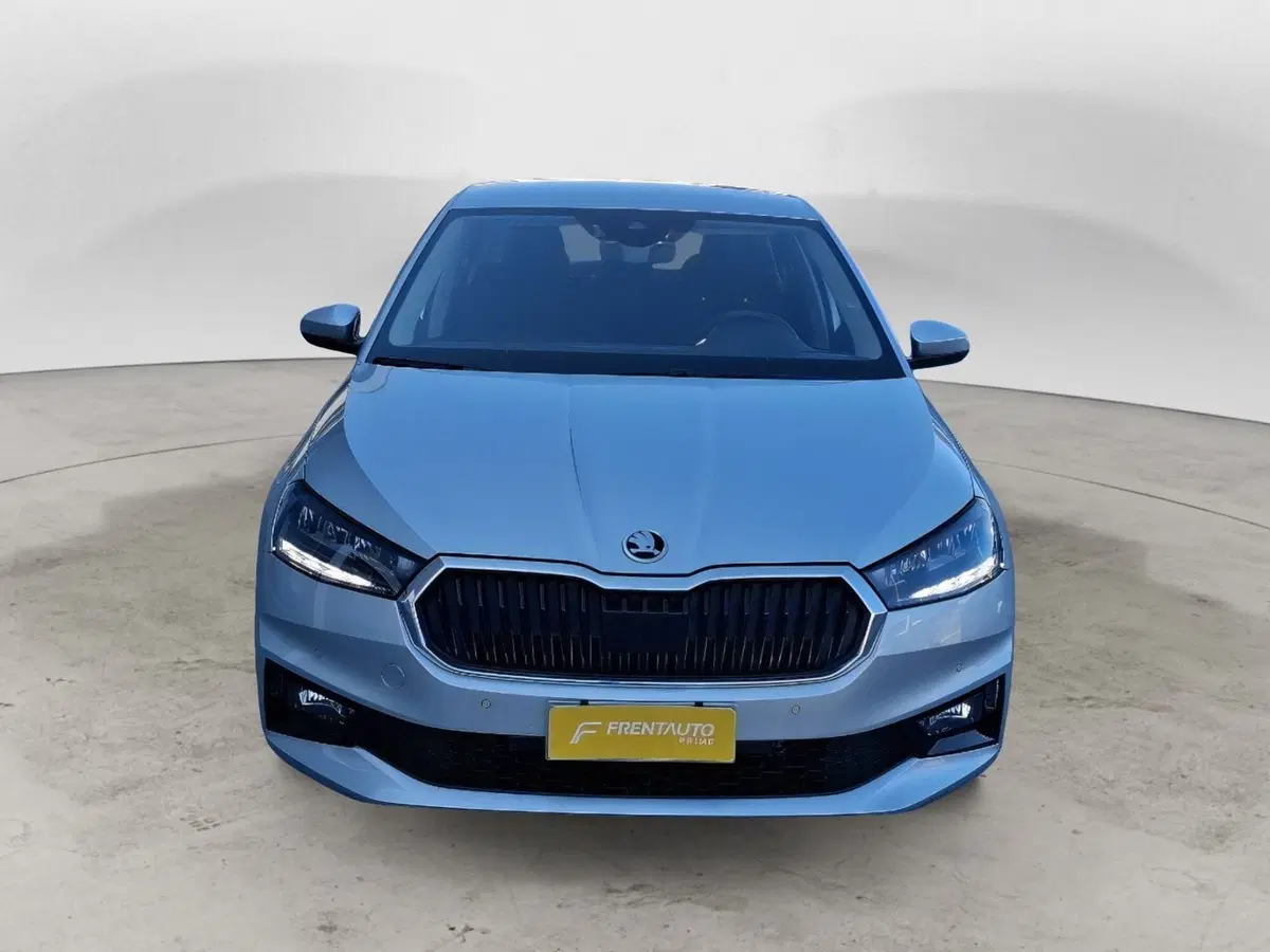 Skoda Fabia usata a Ancona (5)