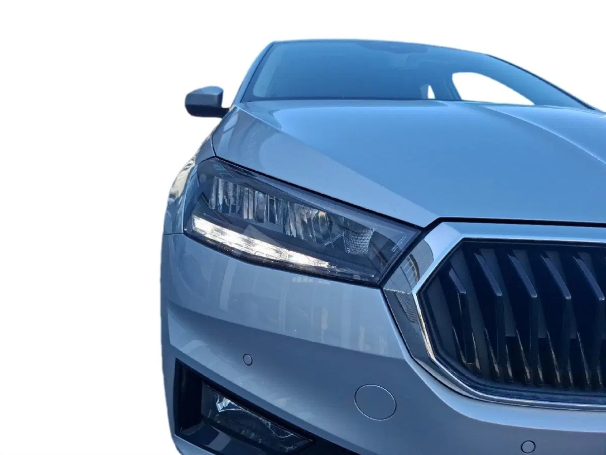 Skoda Fabia usata a Ancona (9)