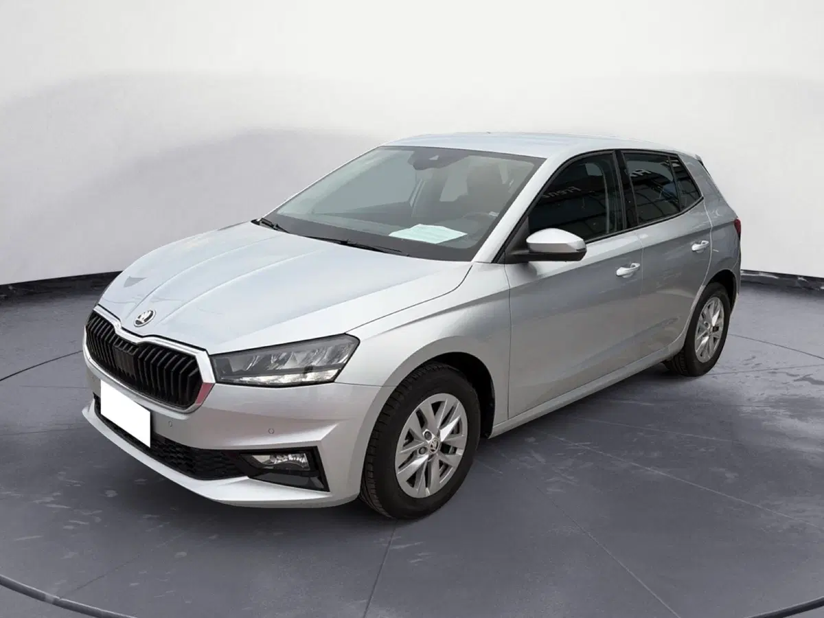 Skoda Fabia usata a Campobasso