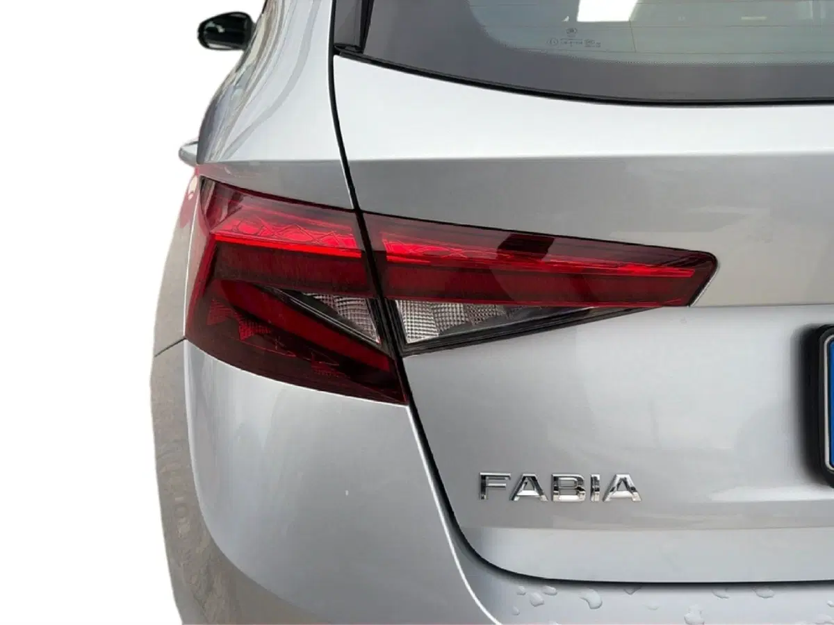 Skoda Fabia usata a Campobasso (10)