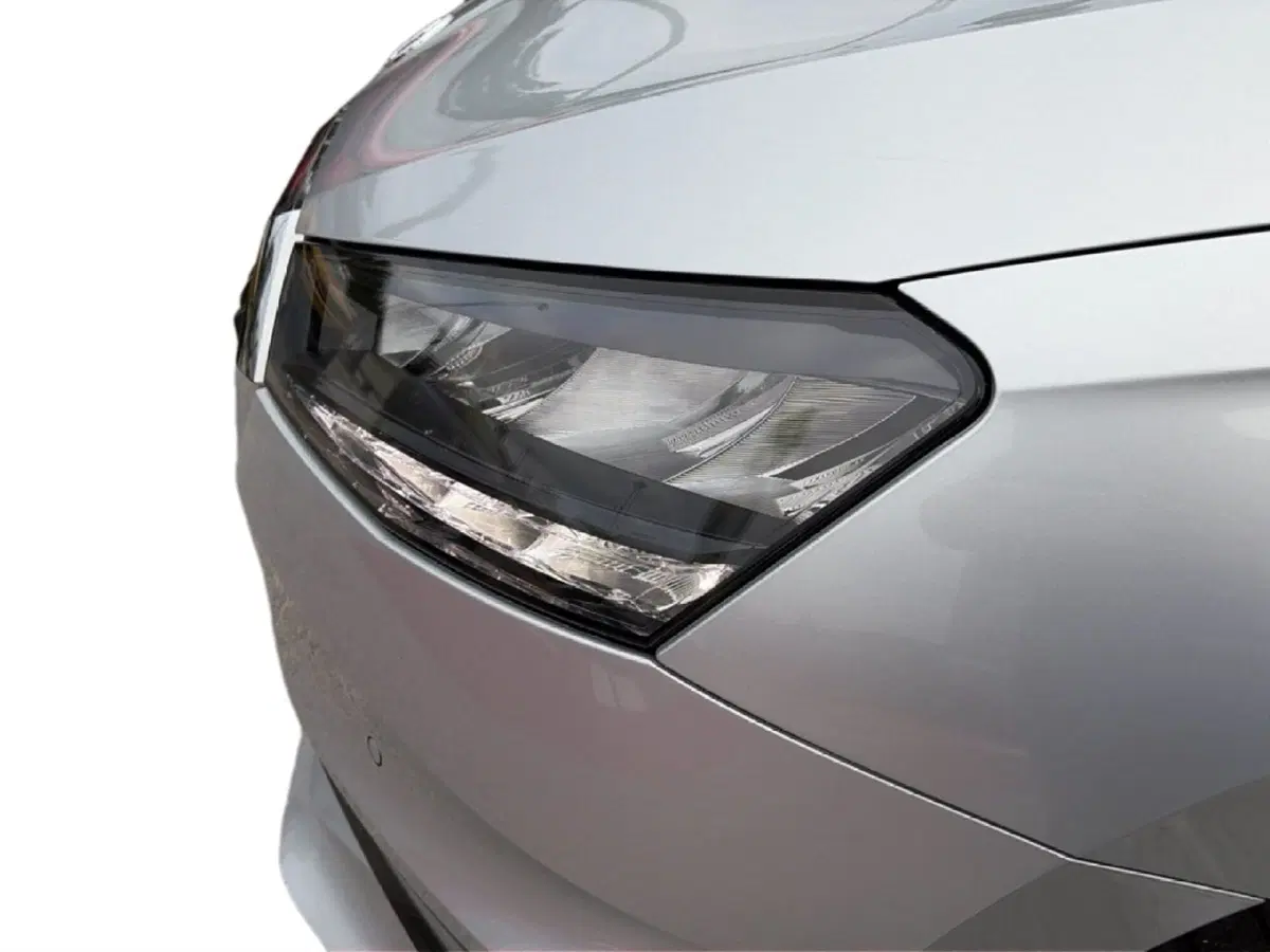 Skoda Fabia usata a Campobasso (12)