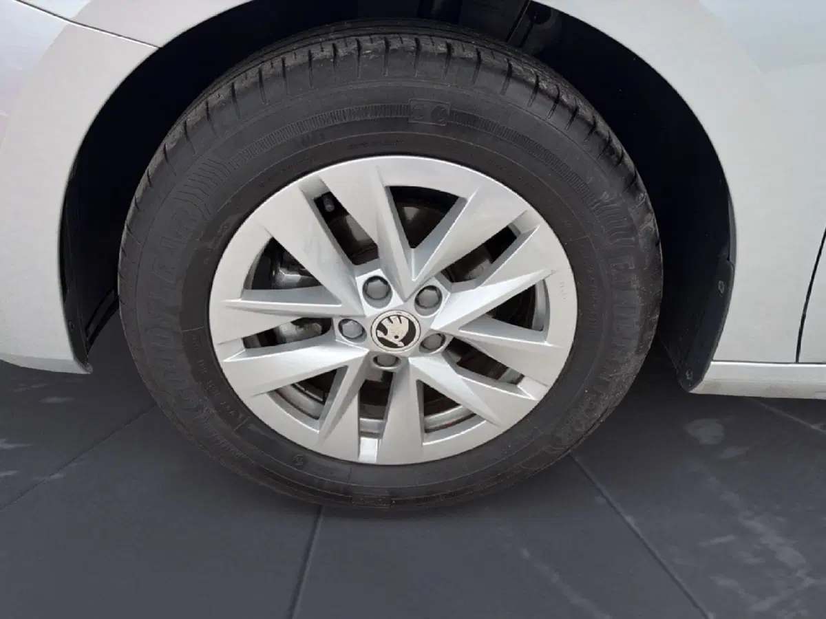 Skoda Fabia usata a Campobasso (14)