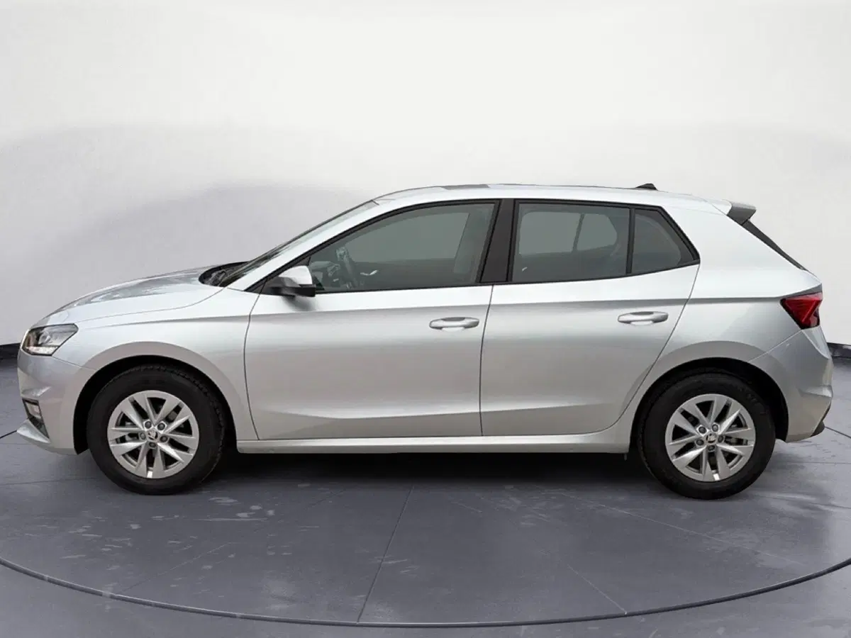 Skoda Fabia usata a Campobasso (2)