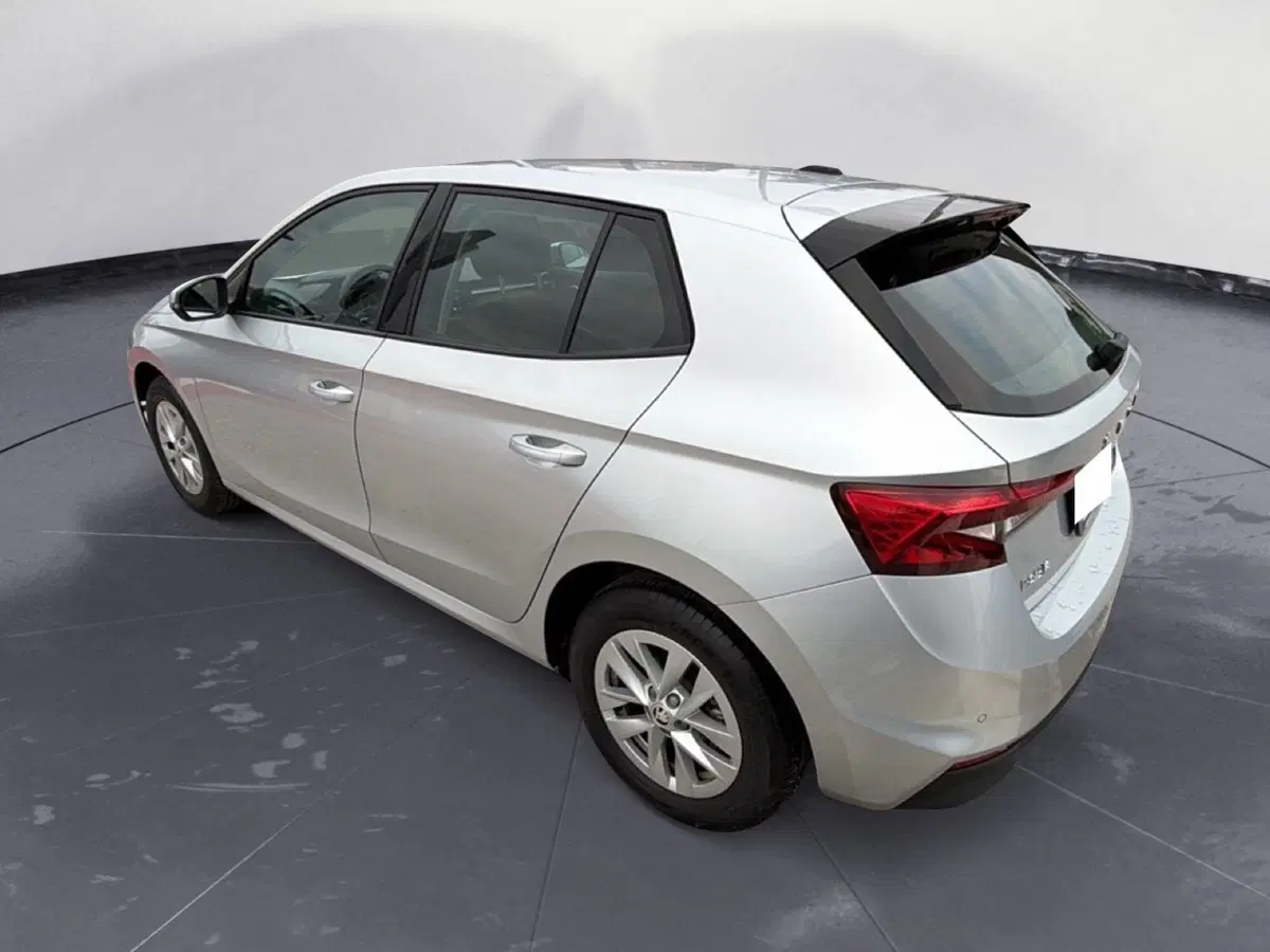 Skoda Fabia usata a Campobasso (3)