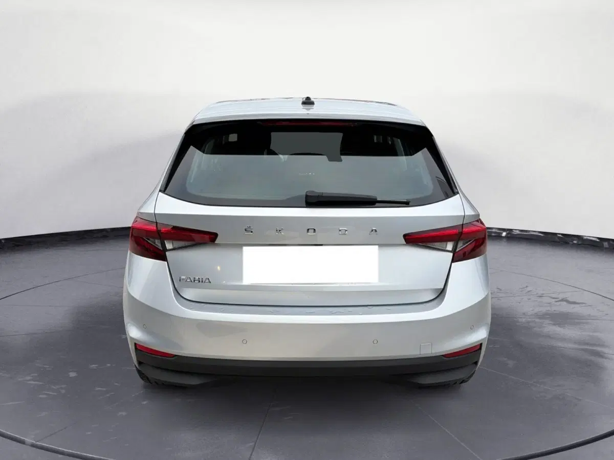 Skoda Fabia usata a Campobasso (4)