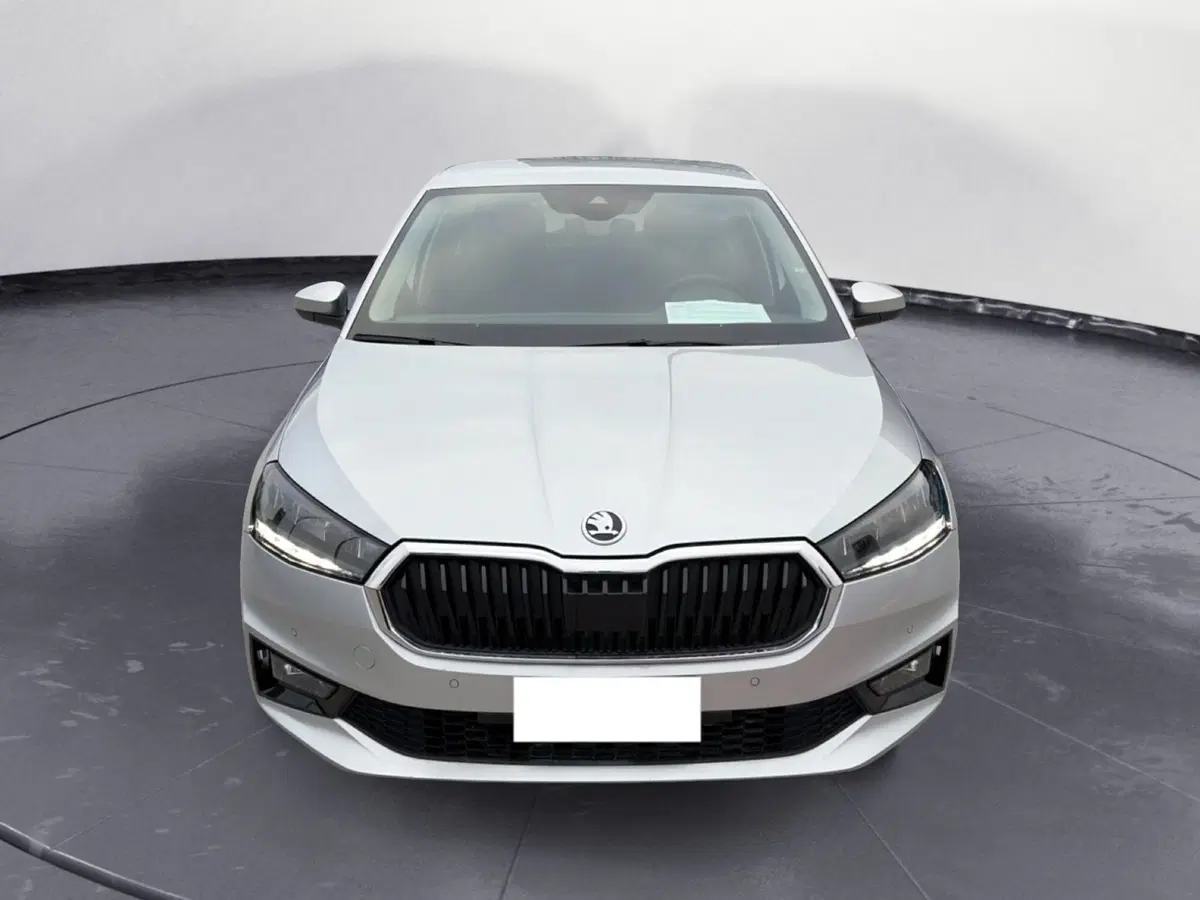 Skoda Fabia usata a Campobasso (5)