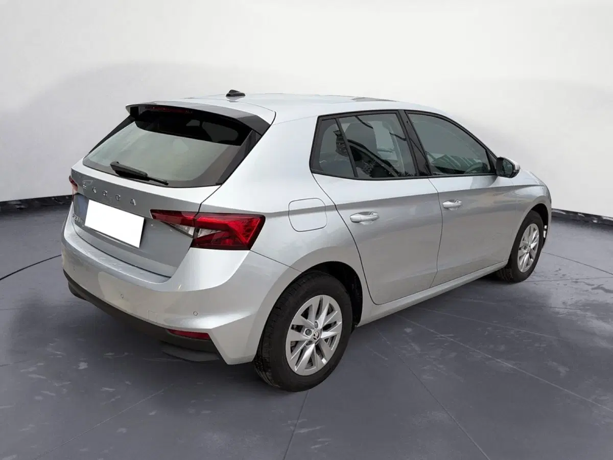 Skoda Fabia usata a Campobasso (6)