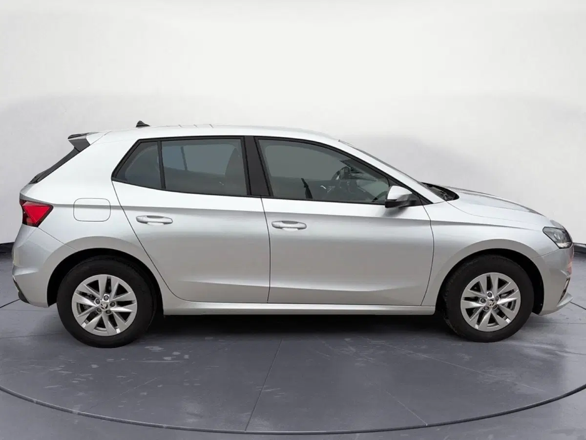Skoda Fabia usata a Campobasso (7)