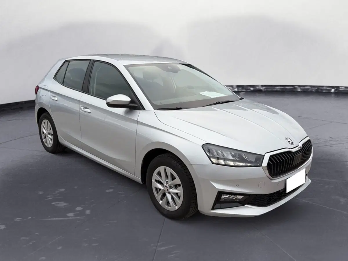 Skoda Fabia usata a Campobasso (8)