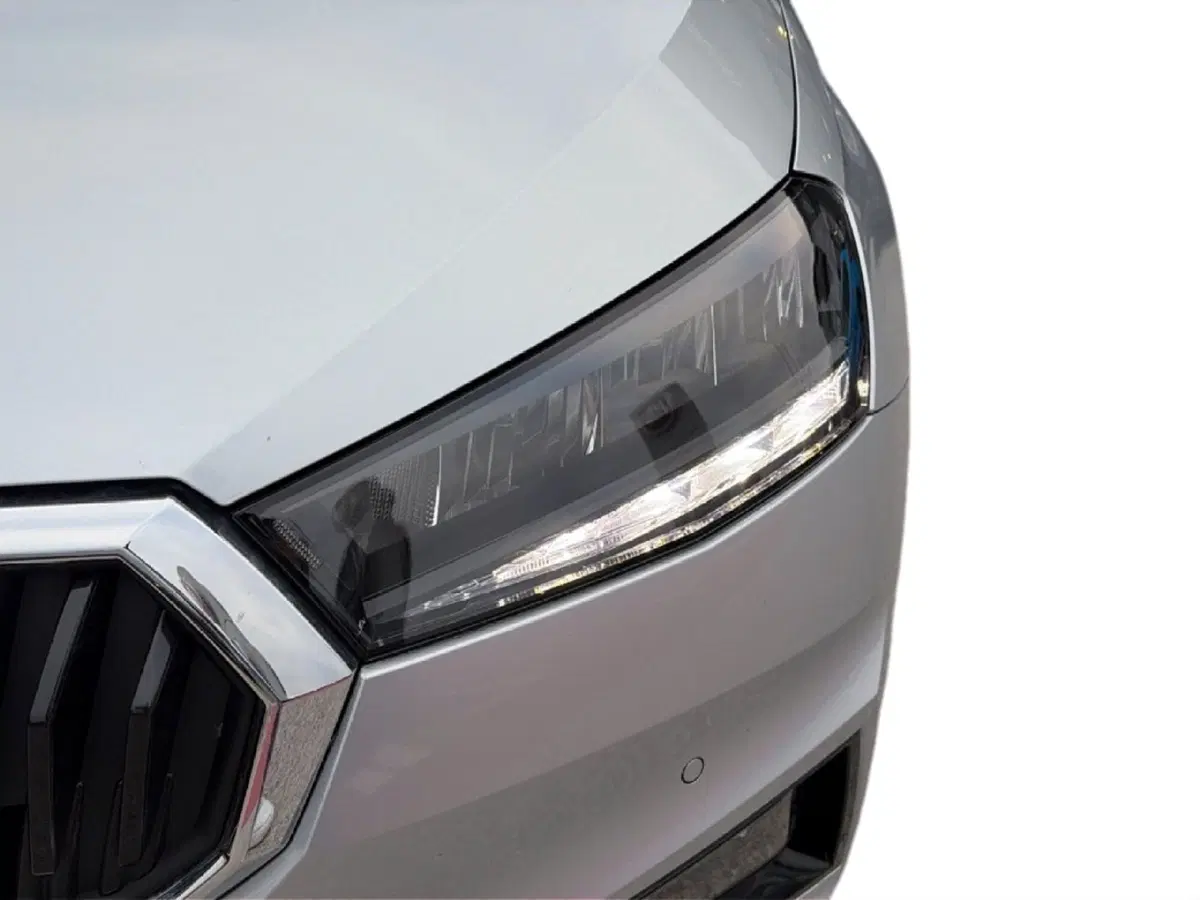 Skoda Fabia usata a Campobasso (9)