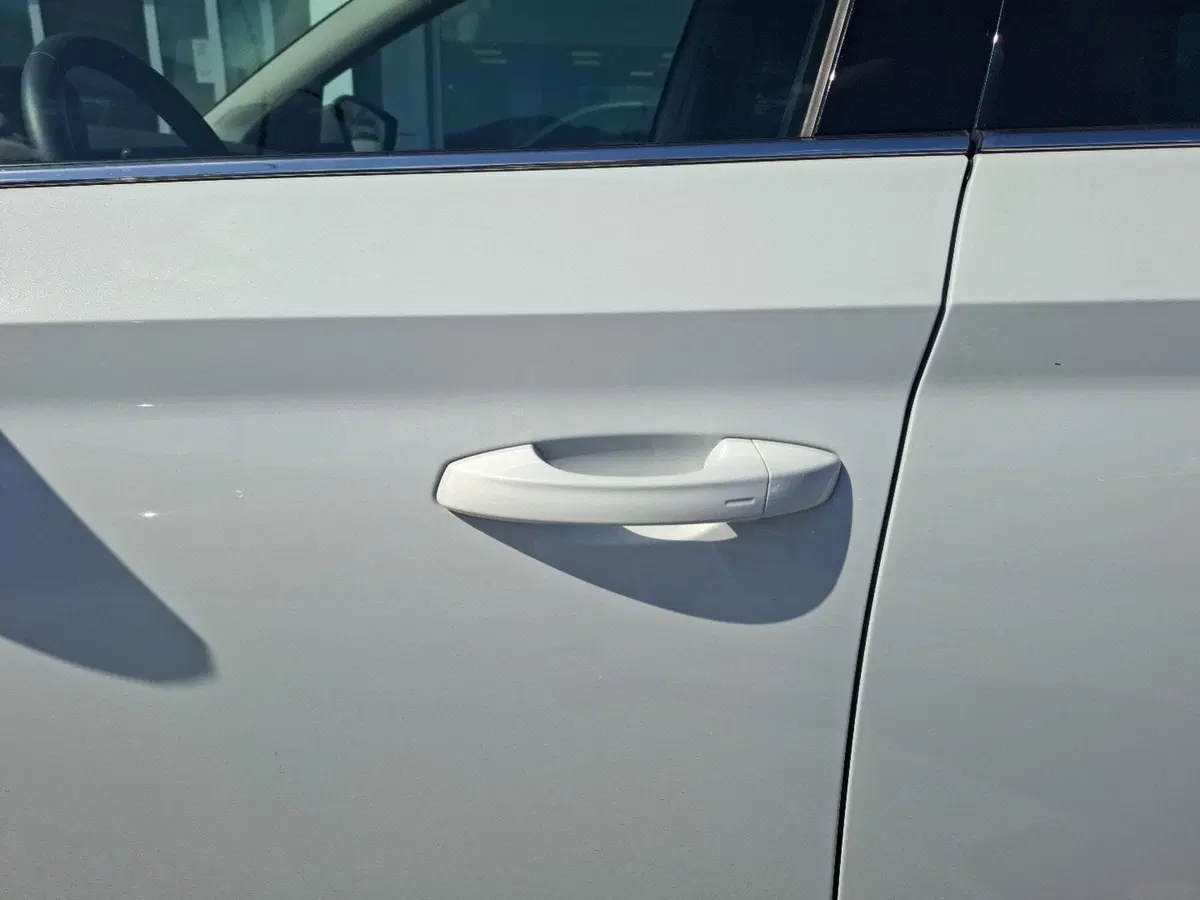 Skoda Scala usata a Ancona (11)