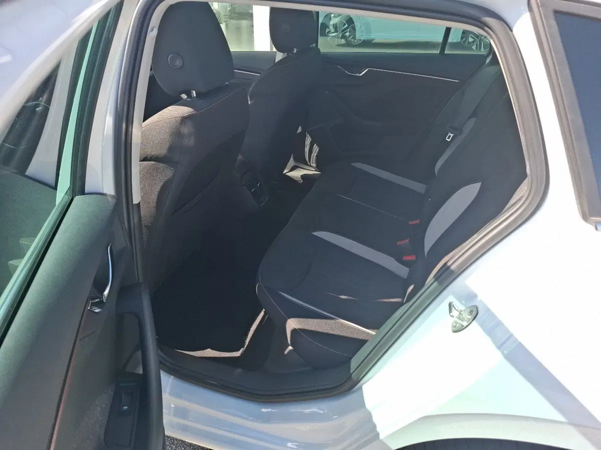 Skoda Scala usata a Ancona (18)