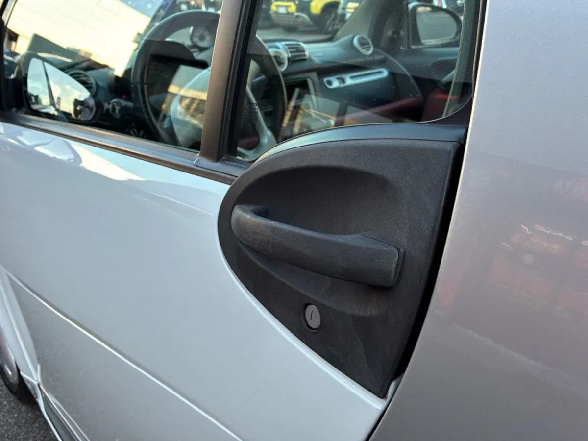 smart Fortwo usata a Mantova (13)