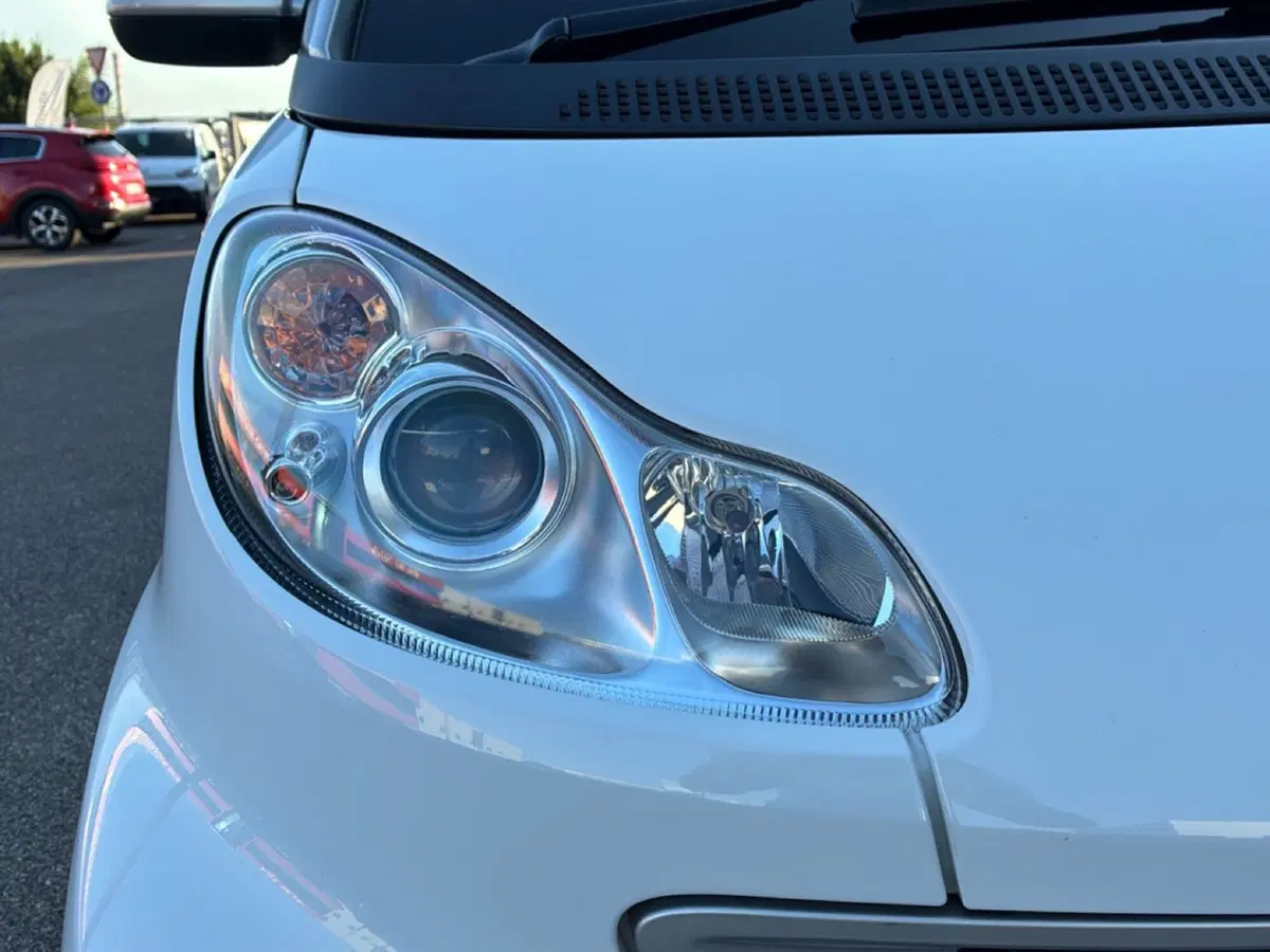 smart Fortwo usata a Mantova (9)