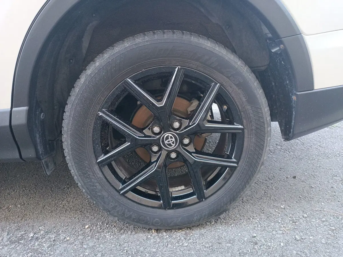 Toyota Rav4 usata a Forlì-Cesena (13)