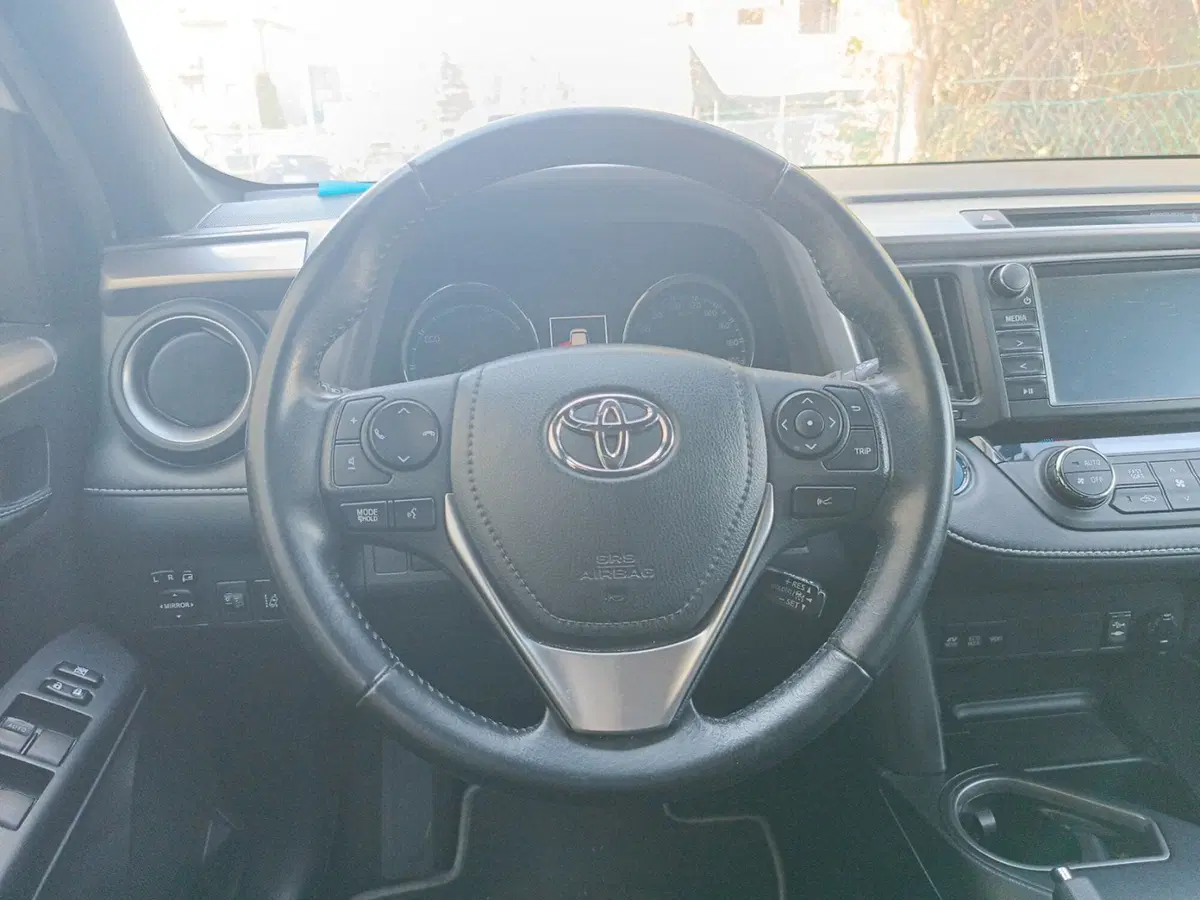Toyota Rav4 usata a Forlì-Cesena (14)