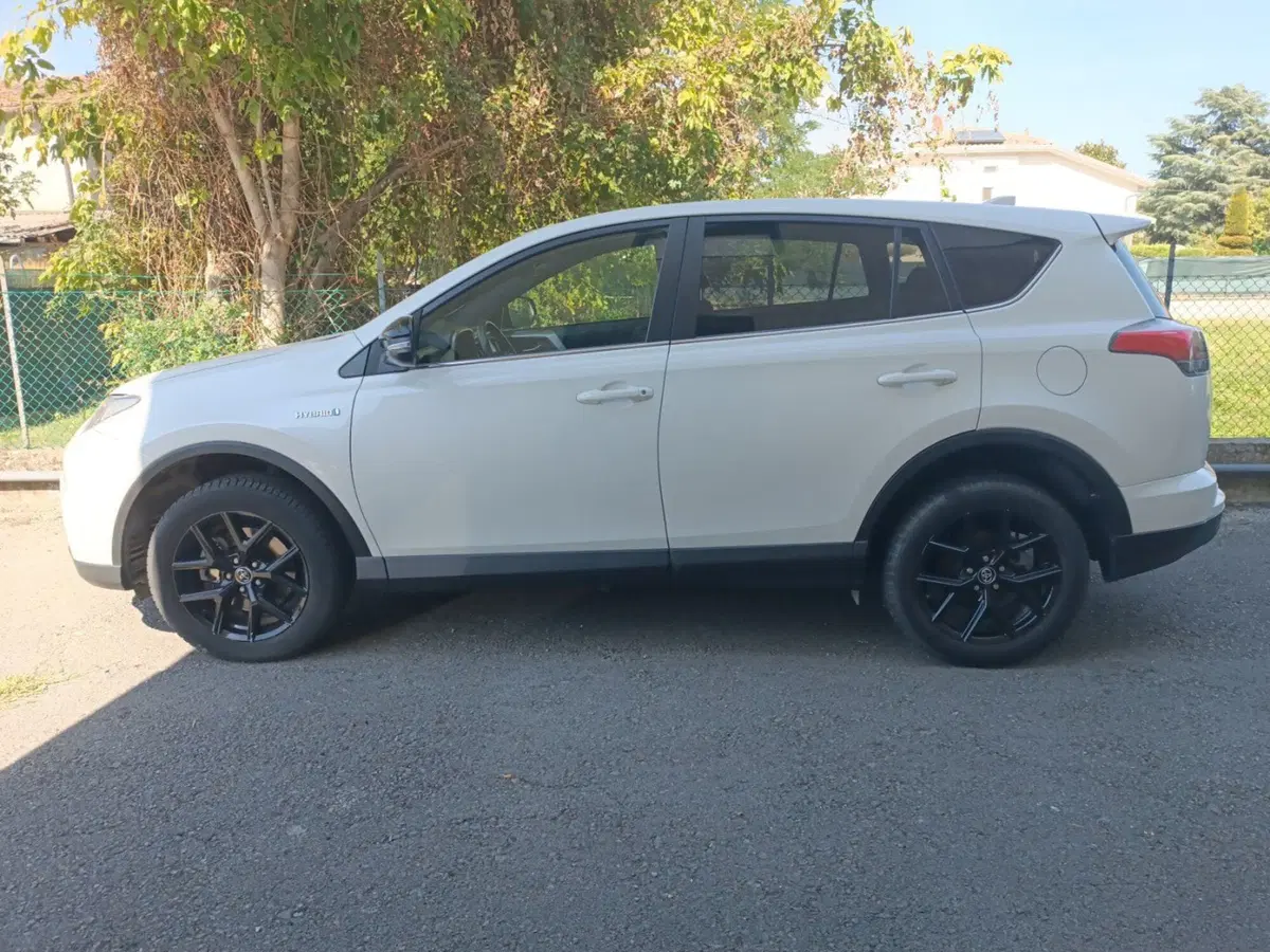 Toyota Rav4 usata a Forlì-Cesena (15)