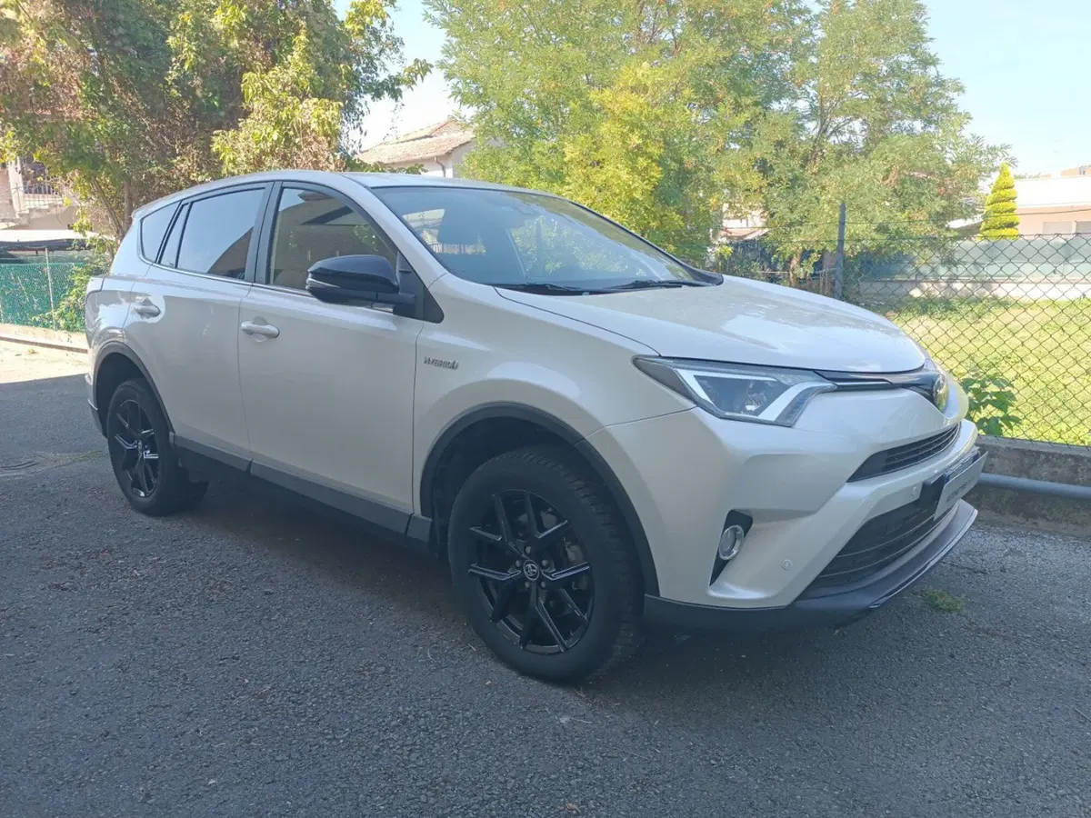 Toyota Rav4 usata a Forlì-Cesena (16)