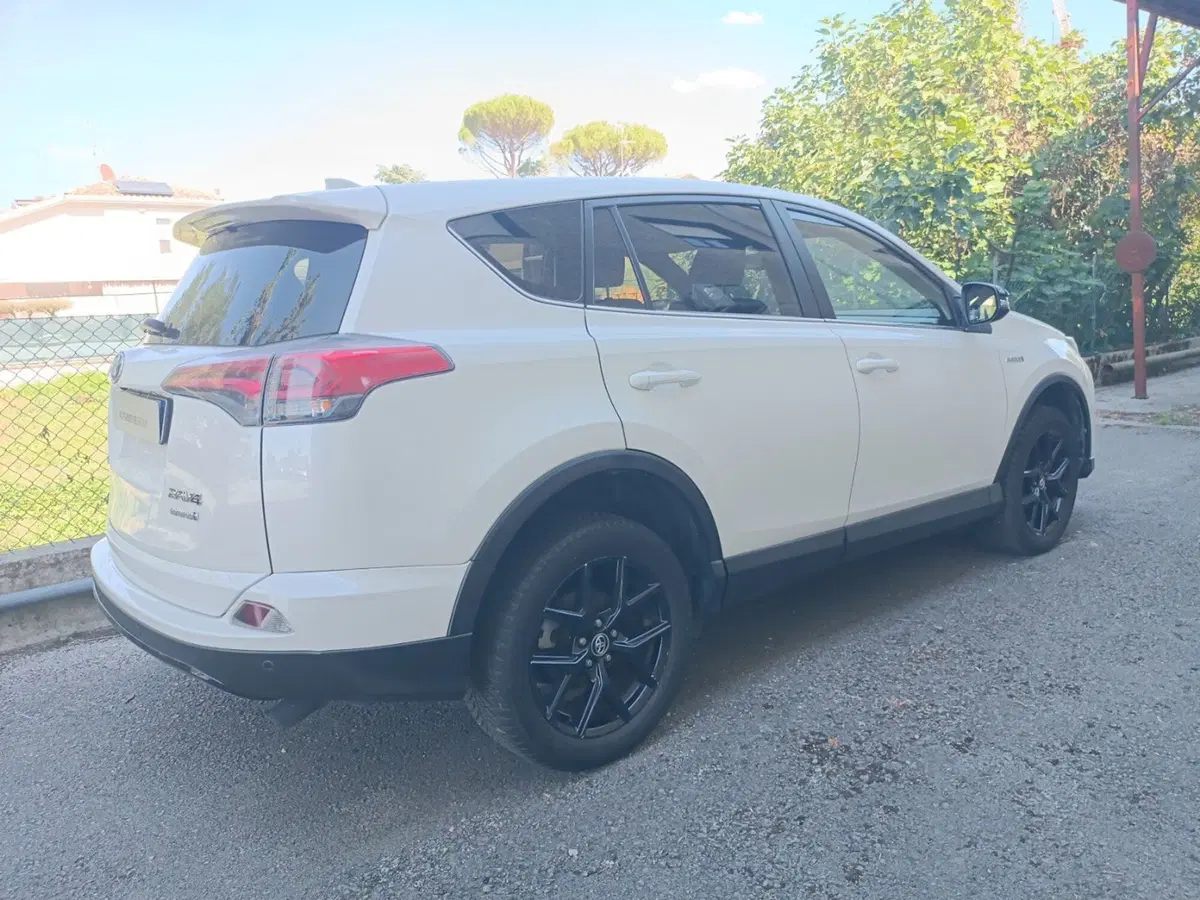 Toyota Rav4 usata a Forlì-Cesena (17)