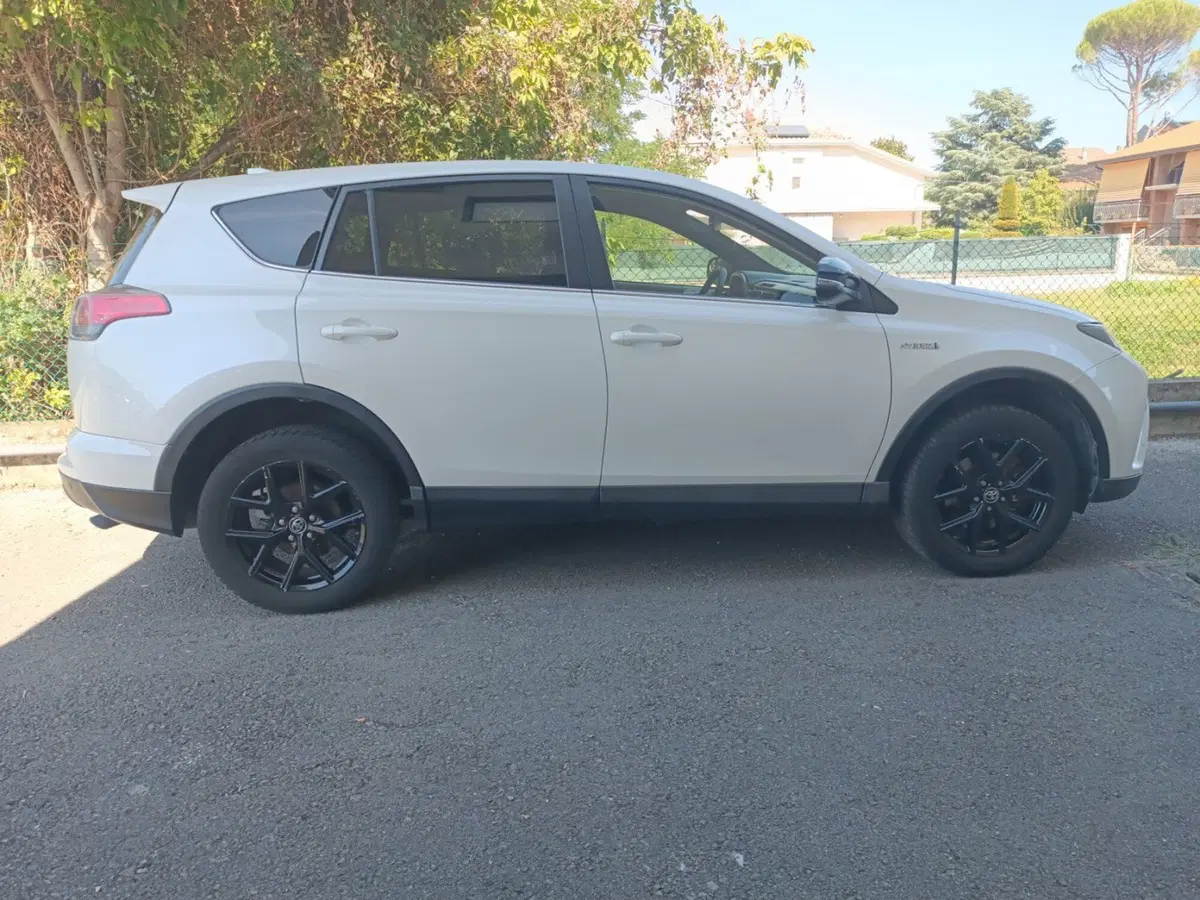 Toyota Rav4 usata a Forlì-Cesena (18)