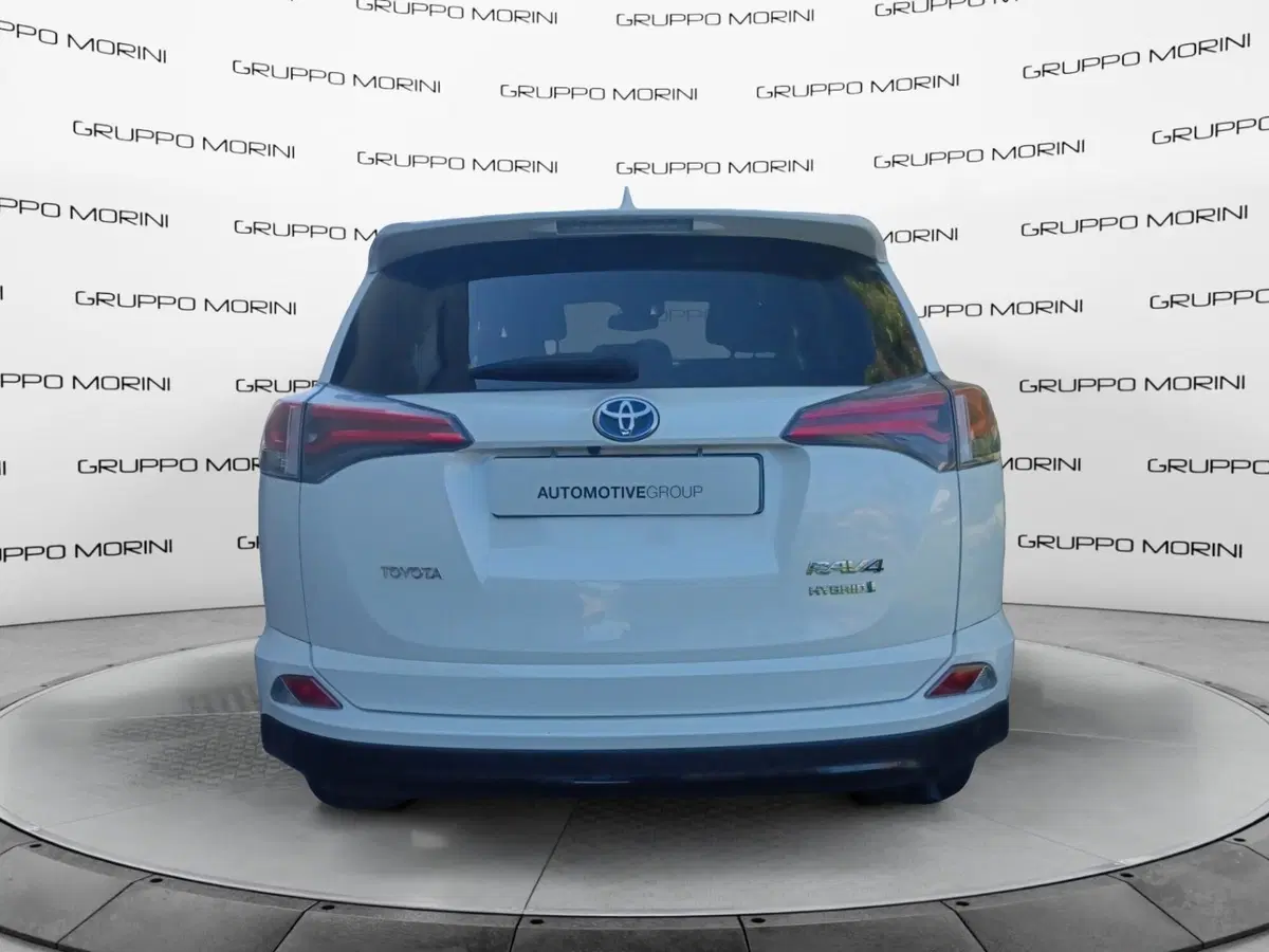 Toyota Rav4 usata a Forlì-Cesena (2)