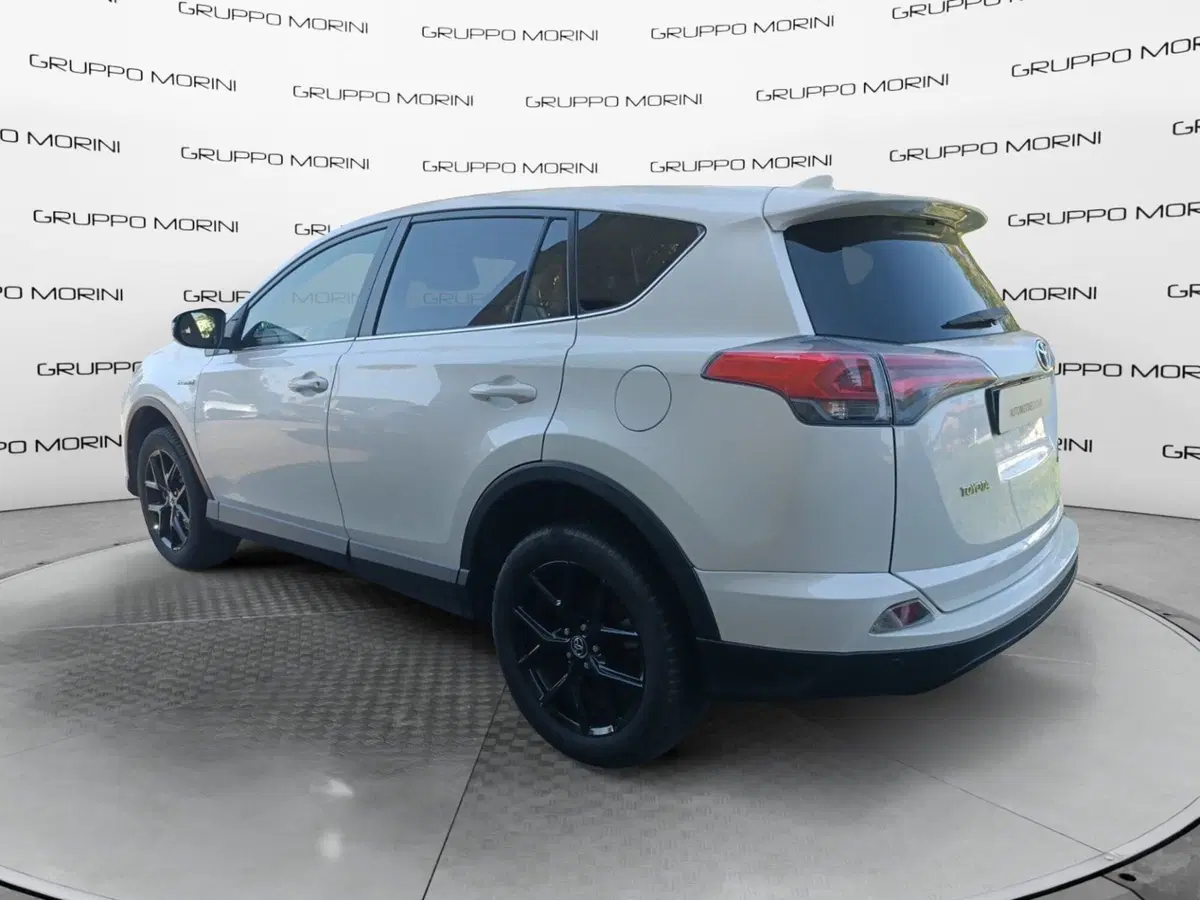 Toyota Rav4 usata a Forlì-Cesena (3)