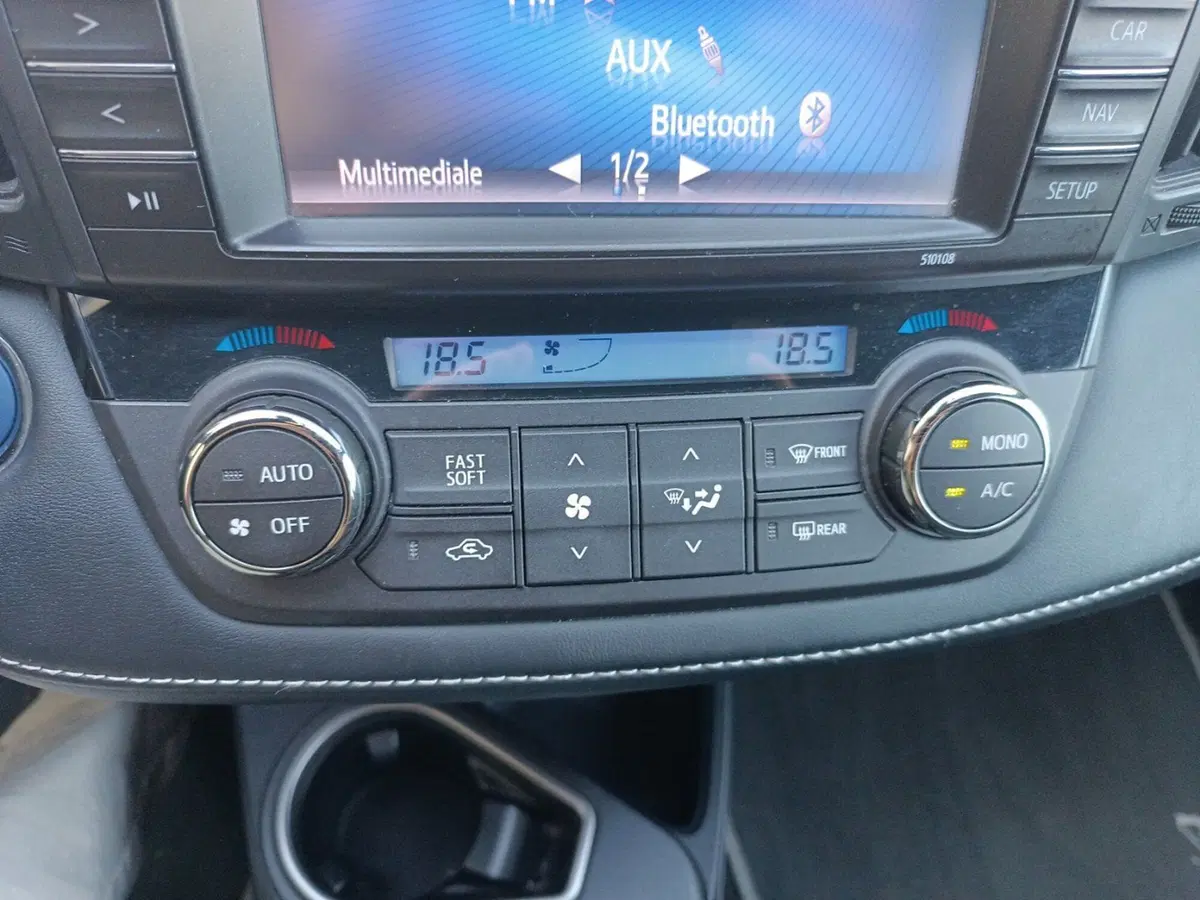 Toyota Rav4 usata a Forlì-Cesena (9)