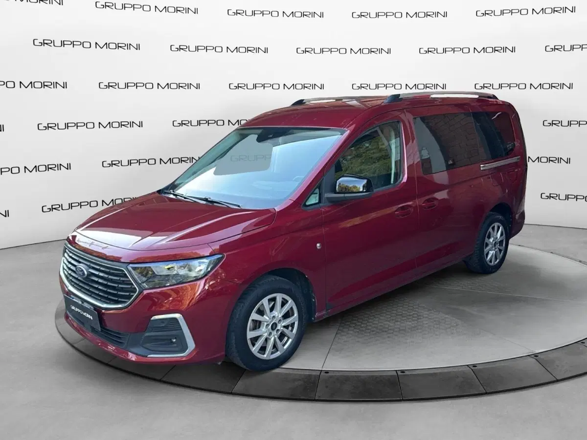 Ford Tourneo Connect usata a Bologna (3)