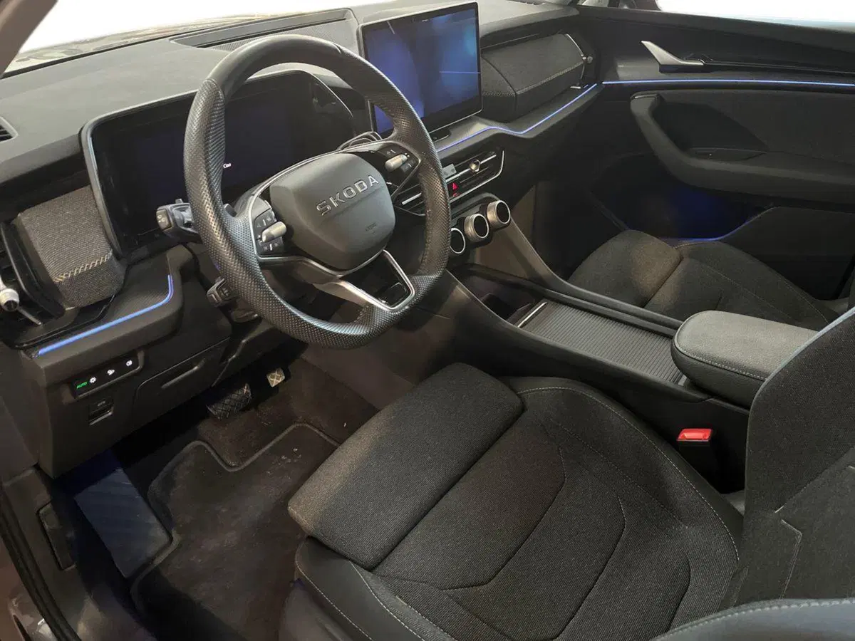 Skoda Kodiaq usata a Bari (10)