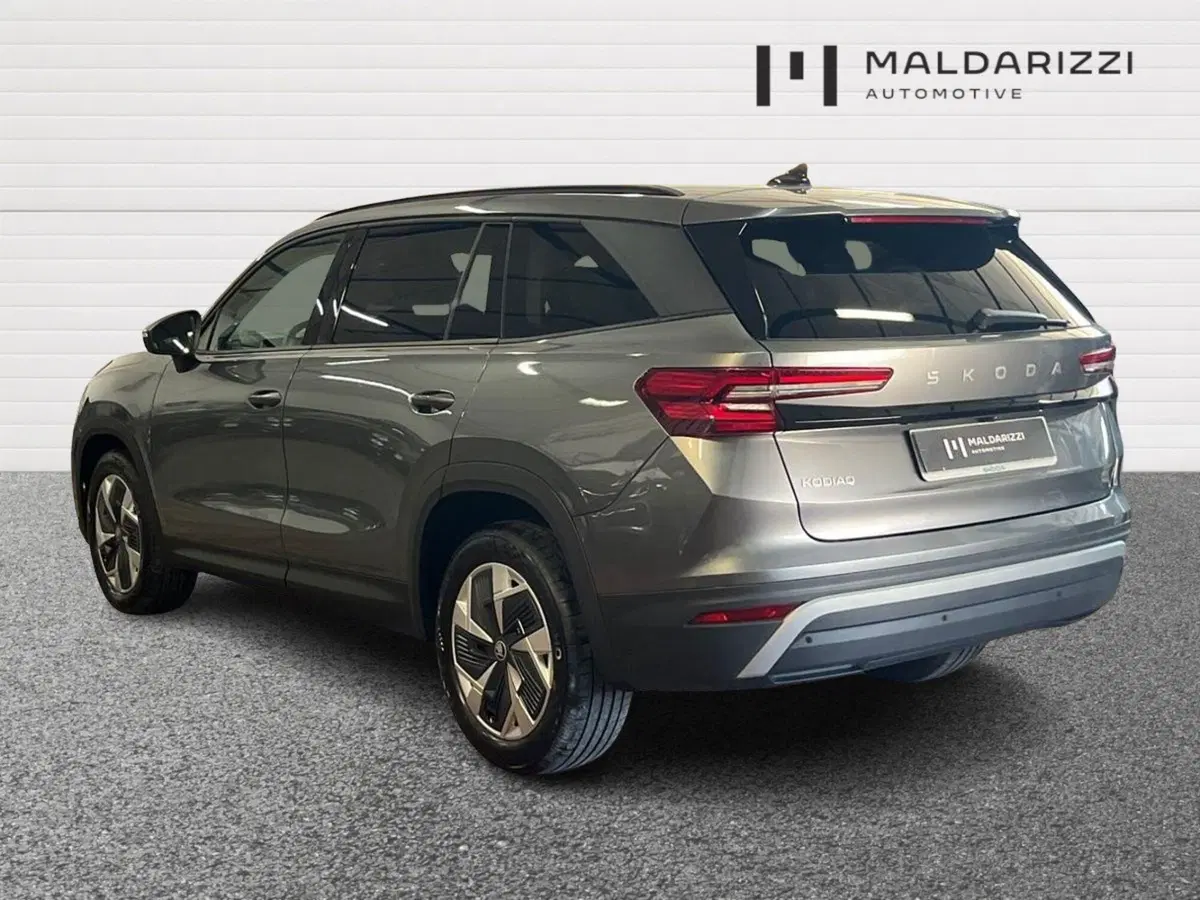 Skoda Kodiaq usata a Bari (4)