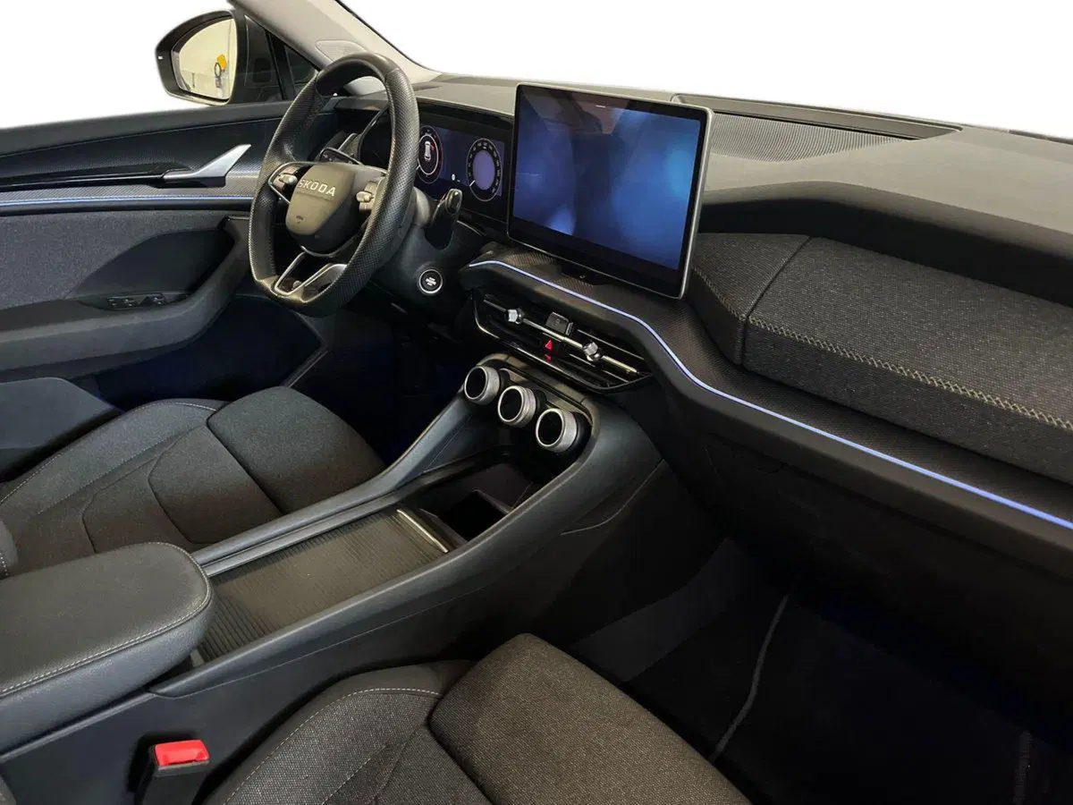 Skoda Kodiaq usata a Bari (9)