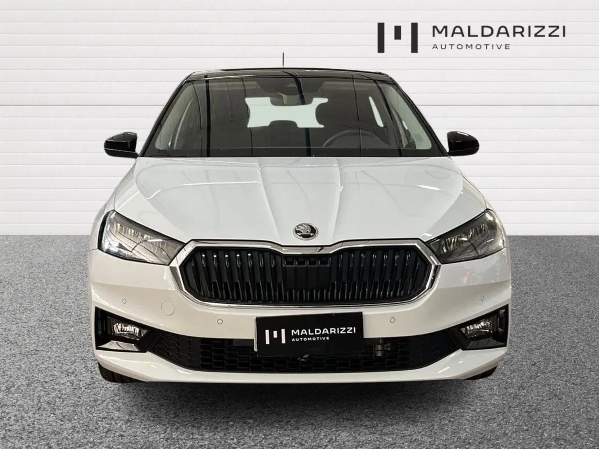 Skoda Fabia usata a Bari (2)
