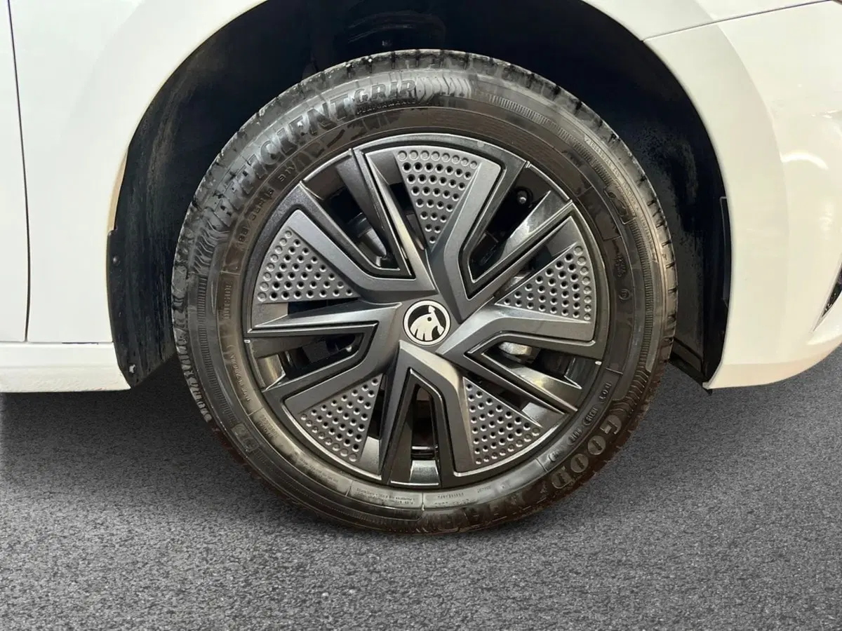Skoda Fabia usata a Bari (6)
