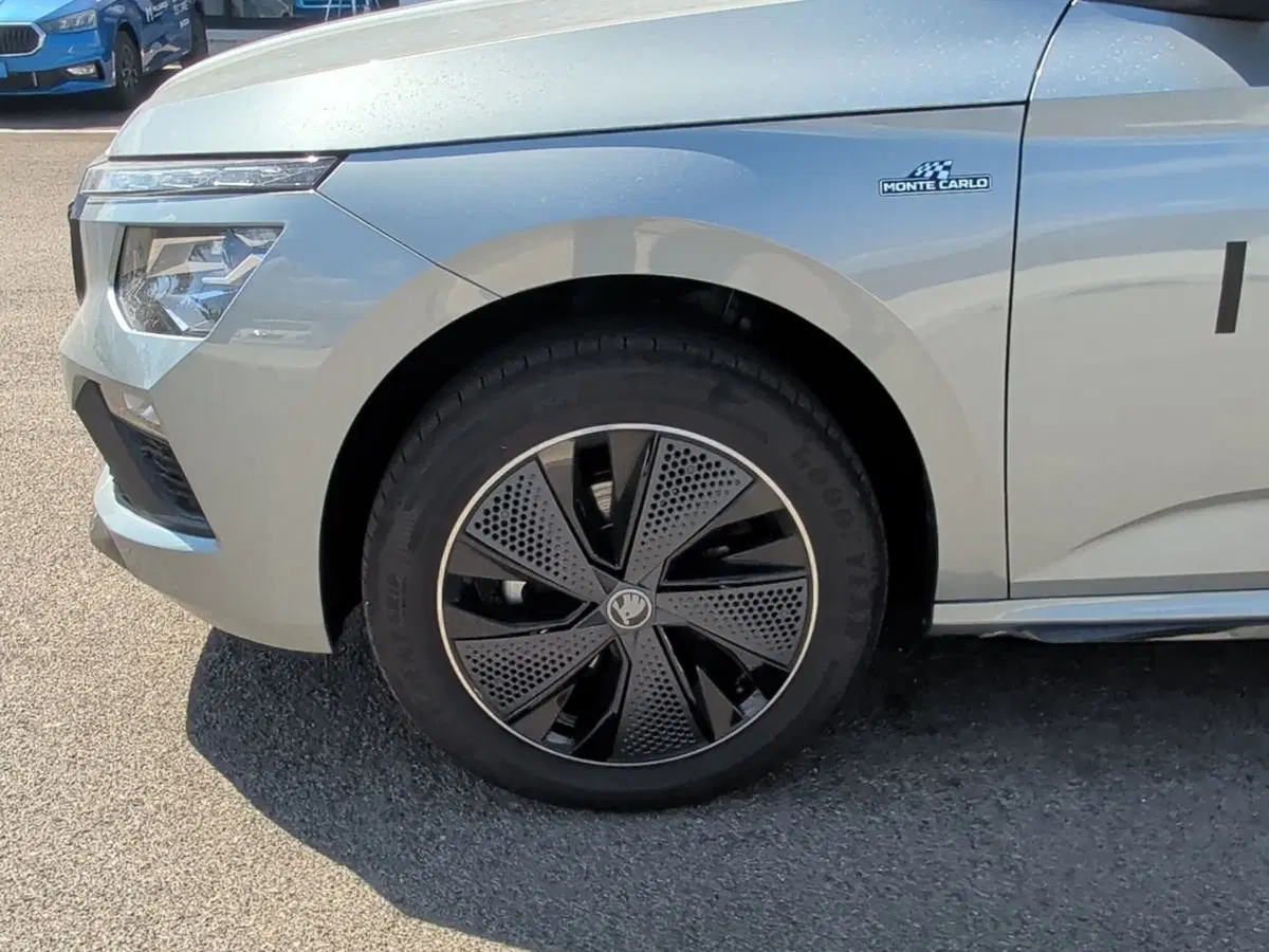 Skoda Kamiq usata a Bari (13)