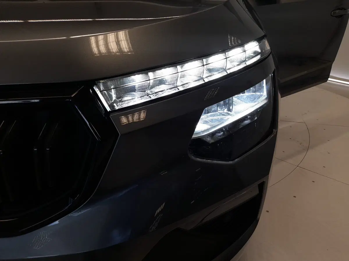 Skoda Kamiq usata a Bologna (8)