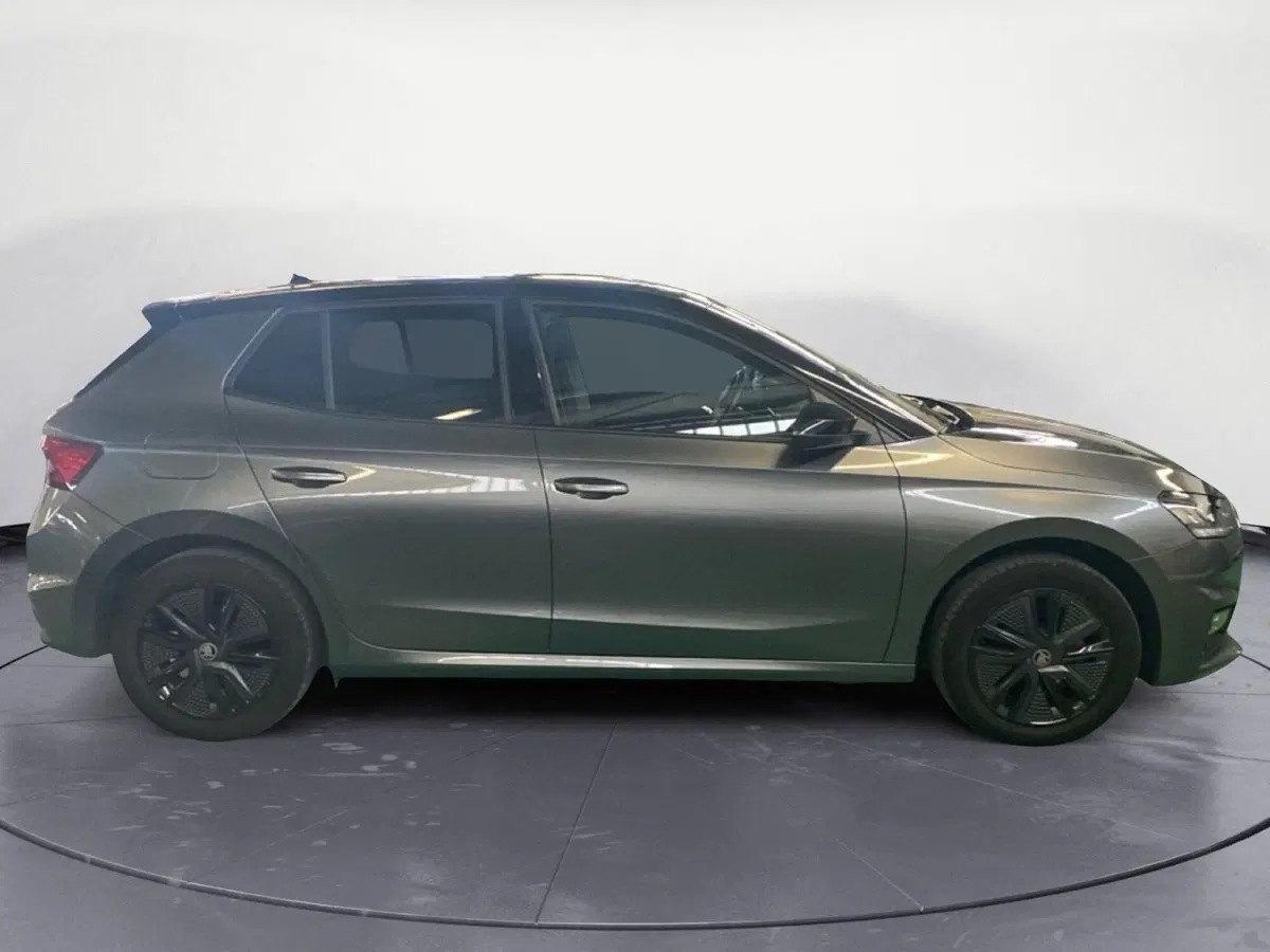 Skoda Fabia usata a Reggio Calabria (4)