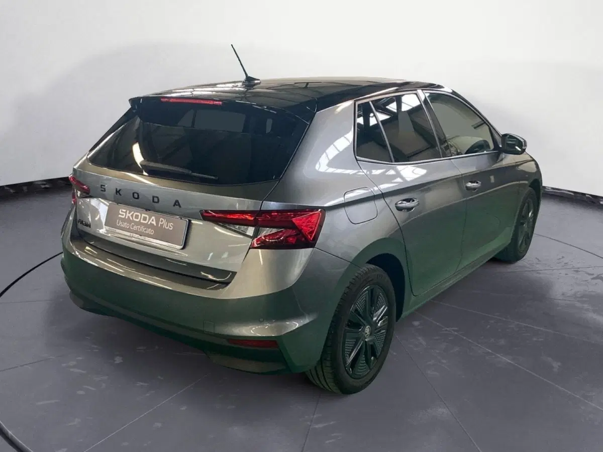 Skoda Fabia usata a Reggio Calabria (5)