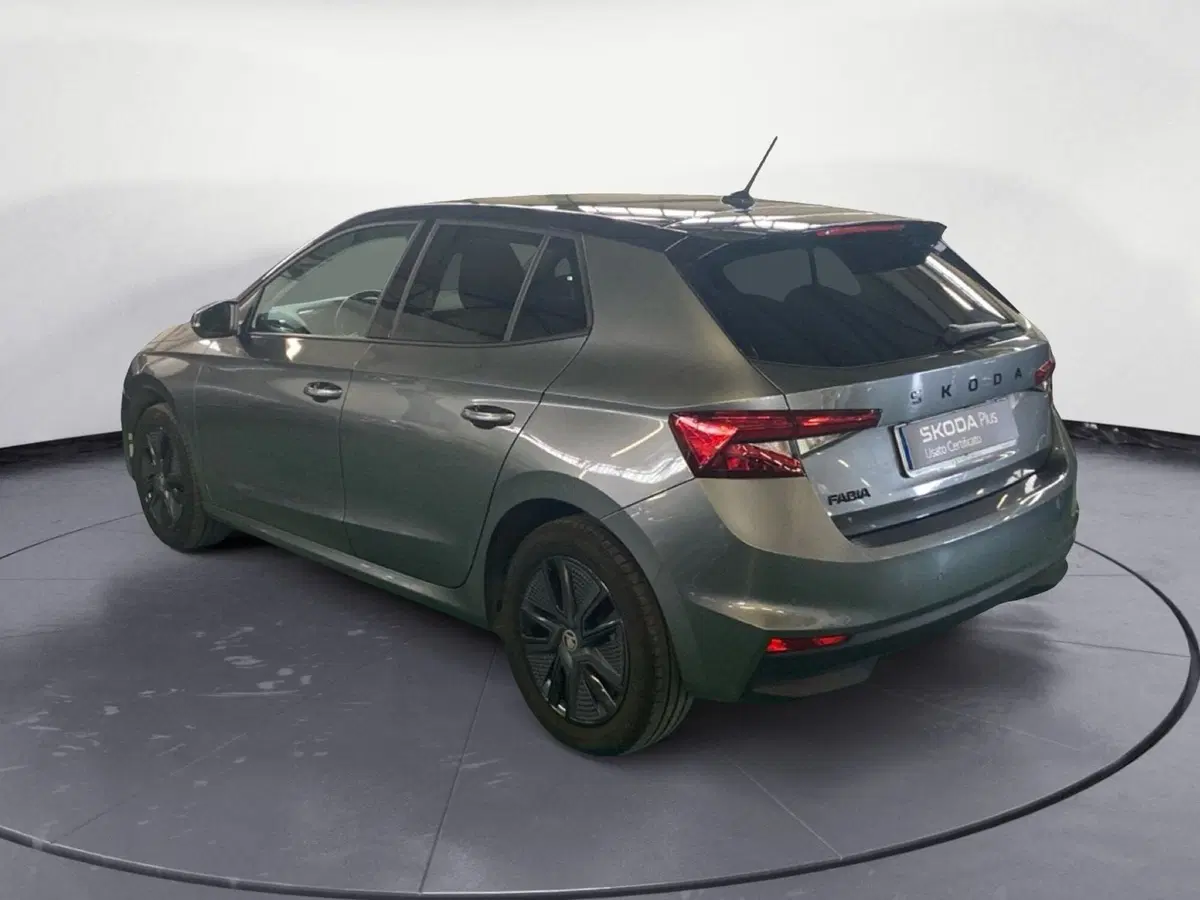 Skoda Fabia usata a Reggio Calabria (7)