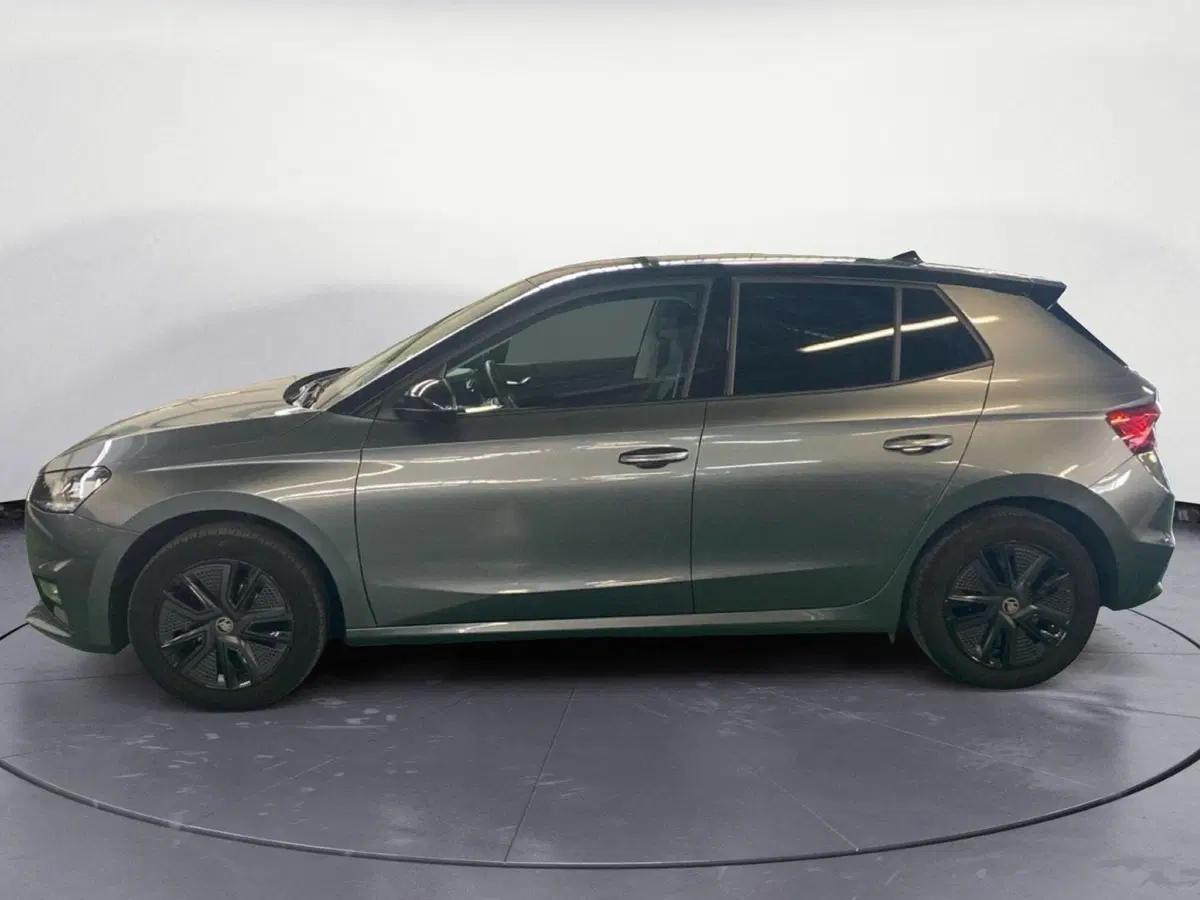 Skoda Fabia usata a Reggio Calabria (8)