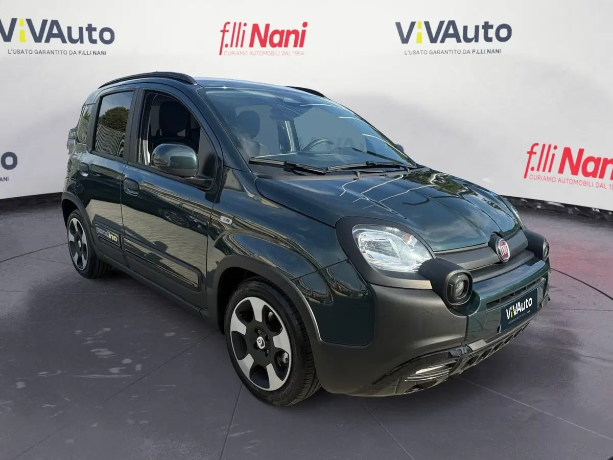 Fiat Pandina usata a Massa-Carrara (12)