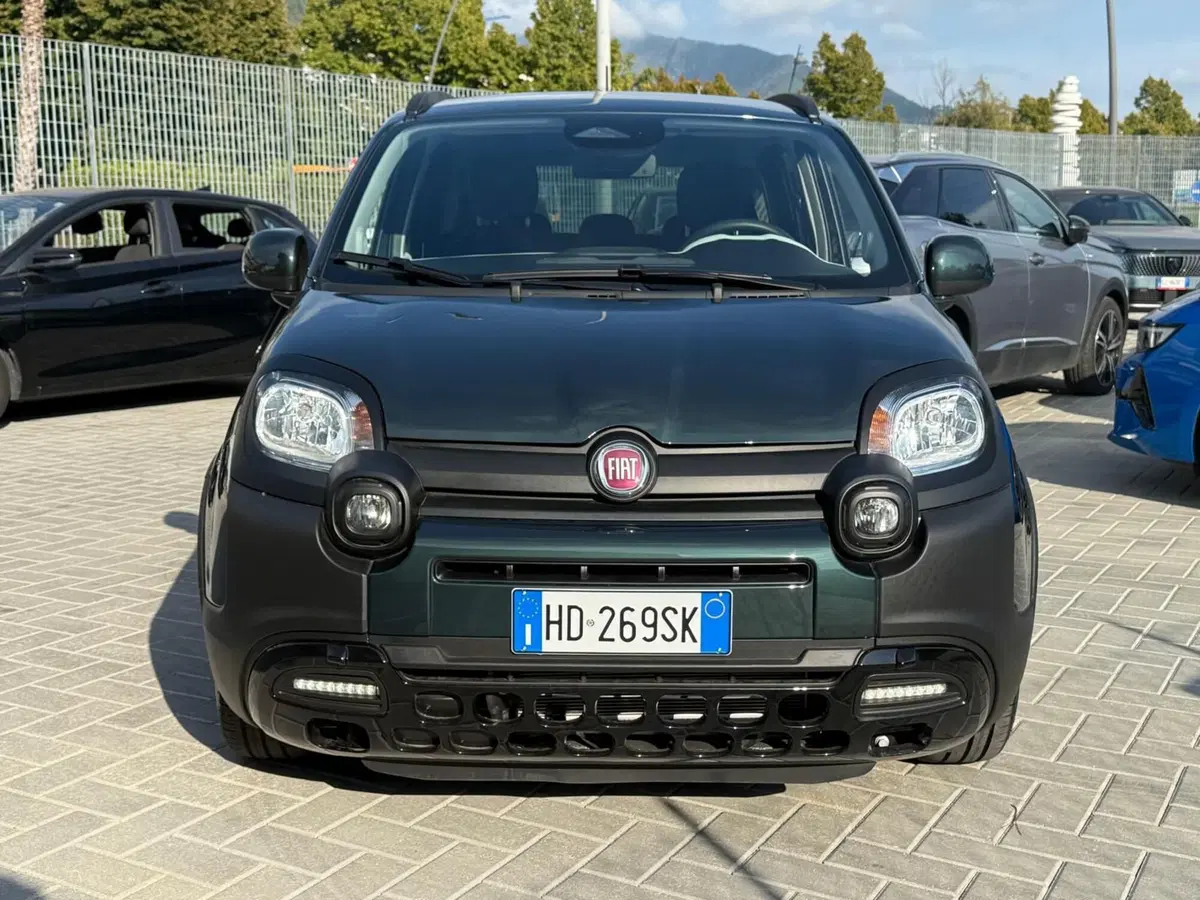 Fiat Pandina usata a Massa-Carrara (15)