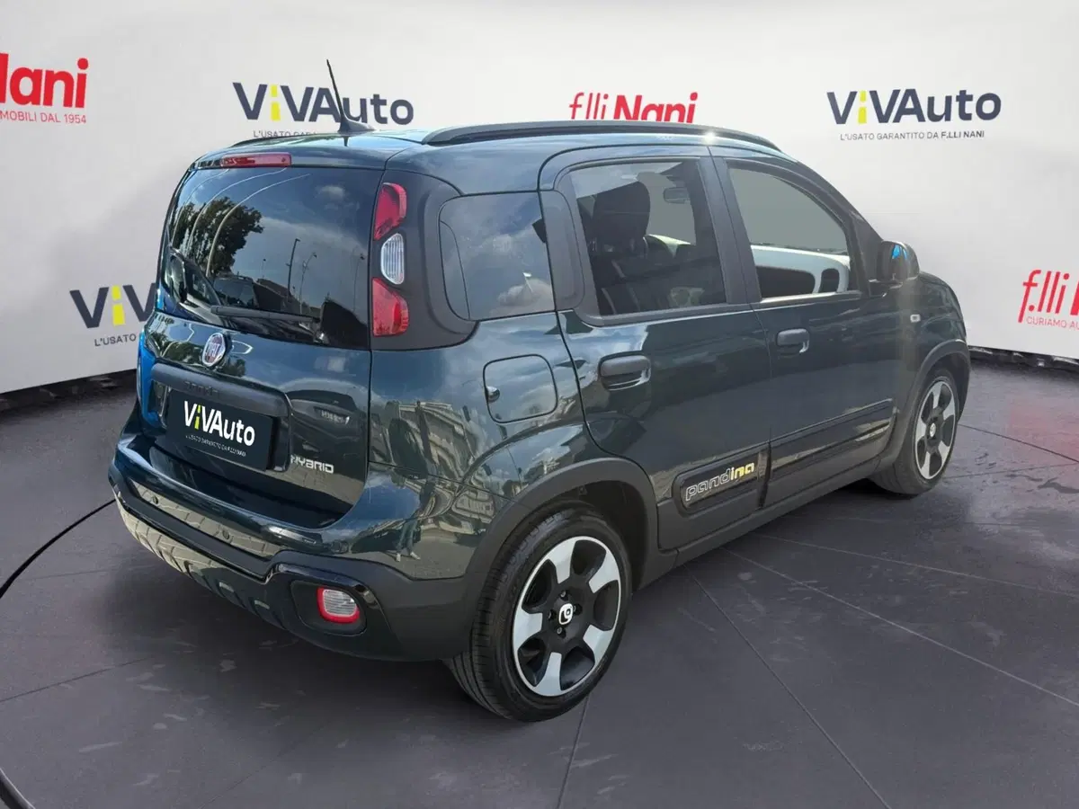 Fiat Pandina usata a Massa-Carrara (2)