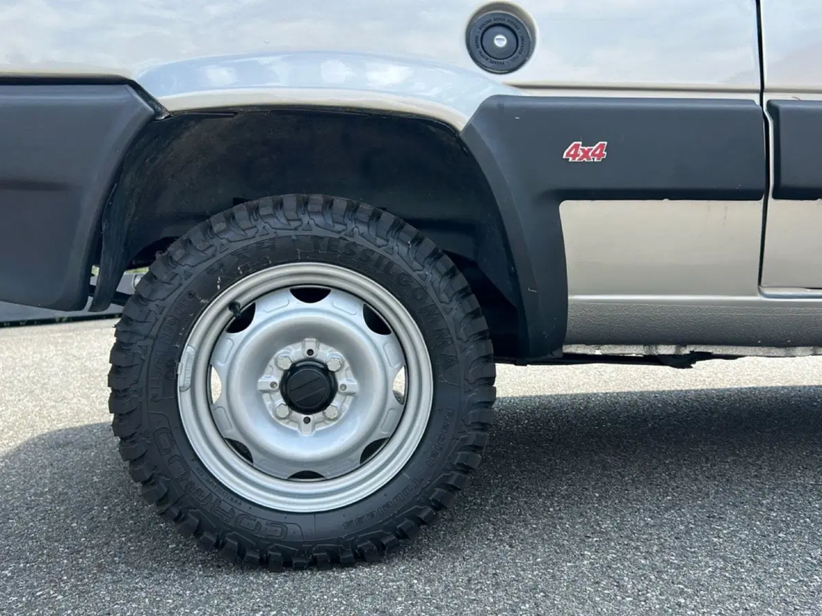 Fiat Panda usata a Vercelli (11)