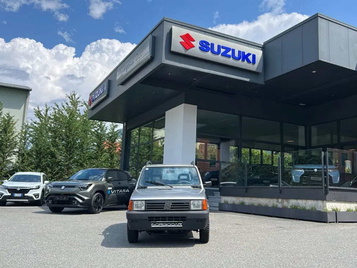 Fiat Panda usata a Vercelli (2)