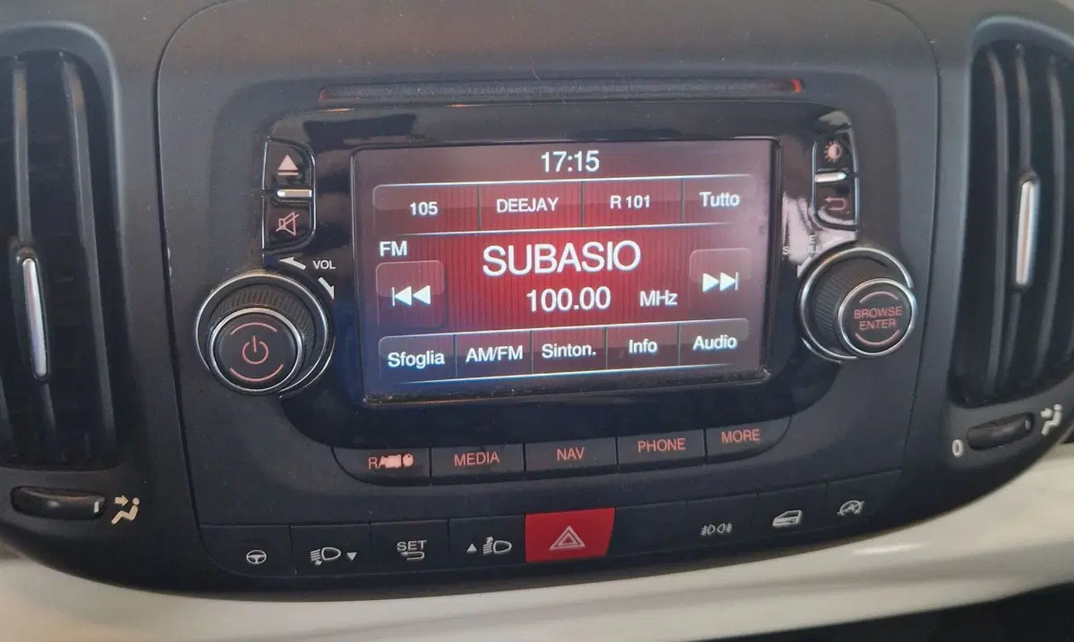 Fiat 500L usata a Terni (14)