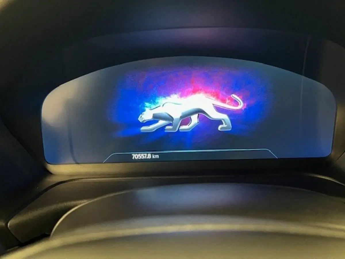 Ford Puma usata a Alessandria (8)