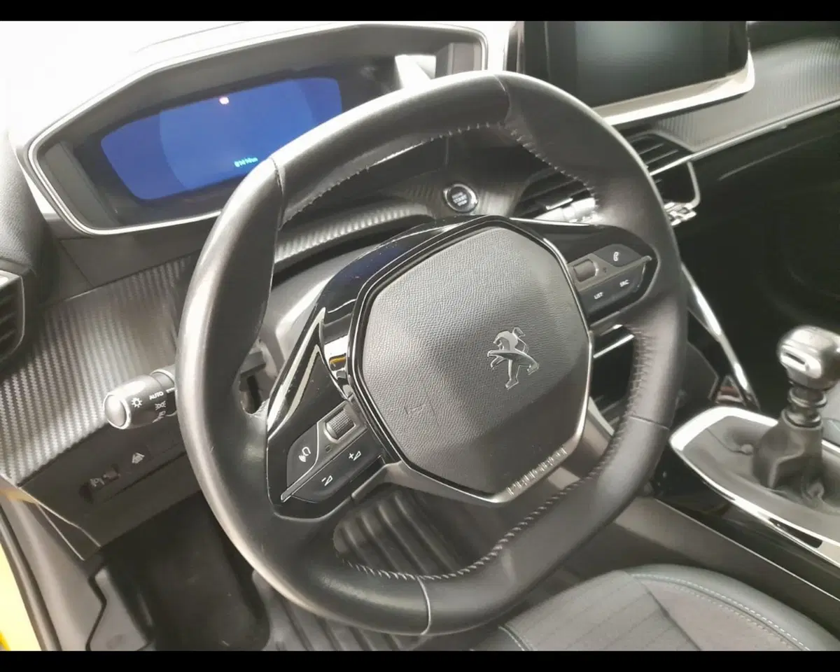Peugeot 208 usata a Alessandria (10)