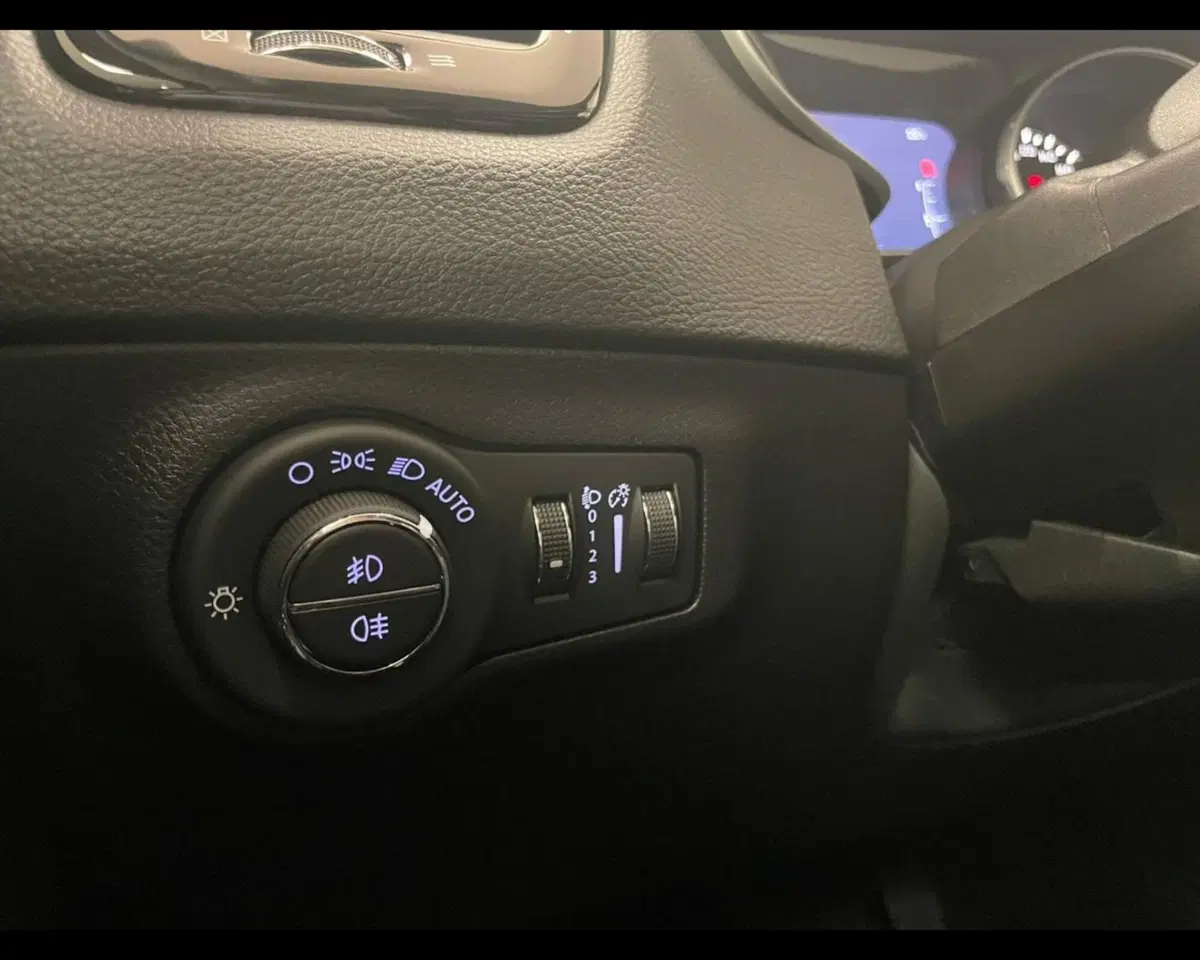 Jeep Compass usata a Alessandria (19)