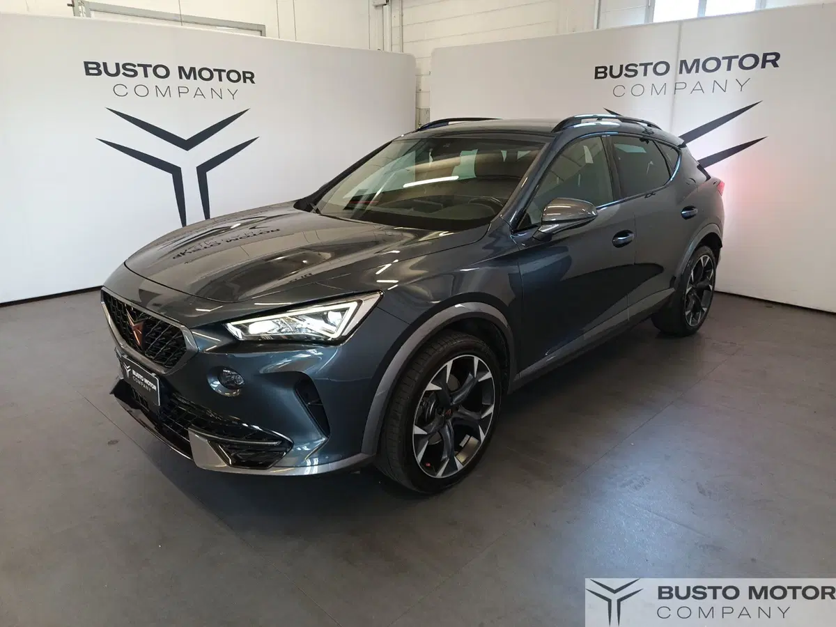 Cupra Formentor usata a Varese (3)